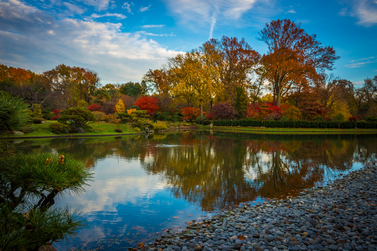 Canon EOS 750D (EOS Rebel T6i / EOS Kiss X8i) sample photo. Japanese garden ©2016 oohstlou photography
