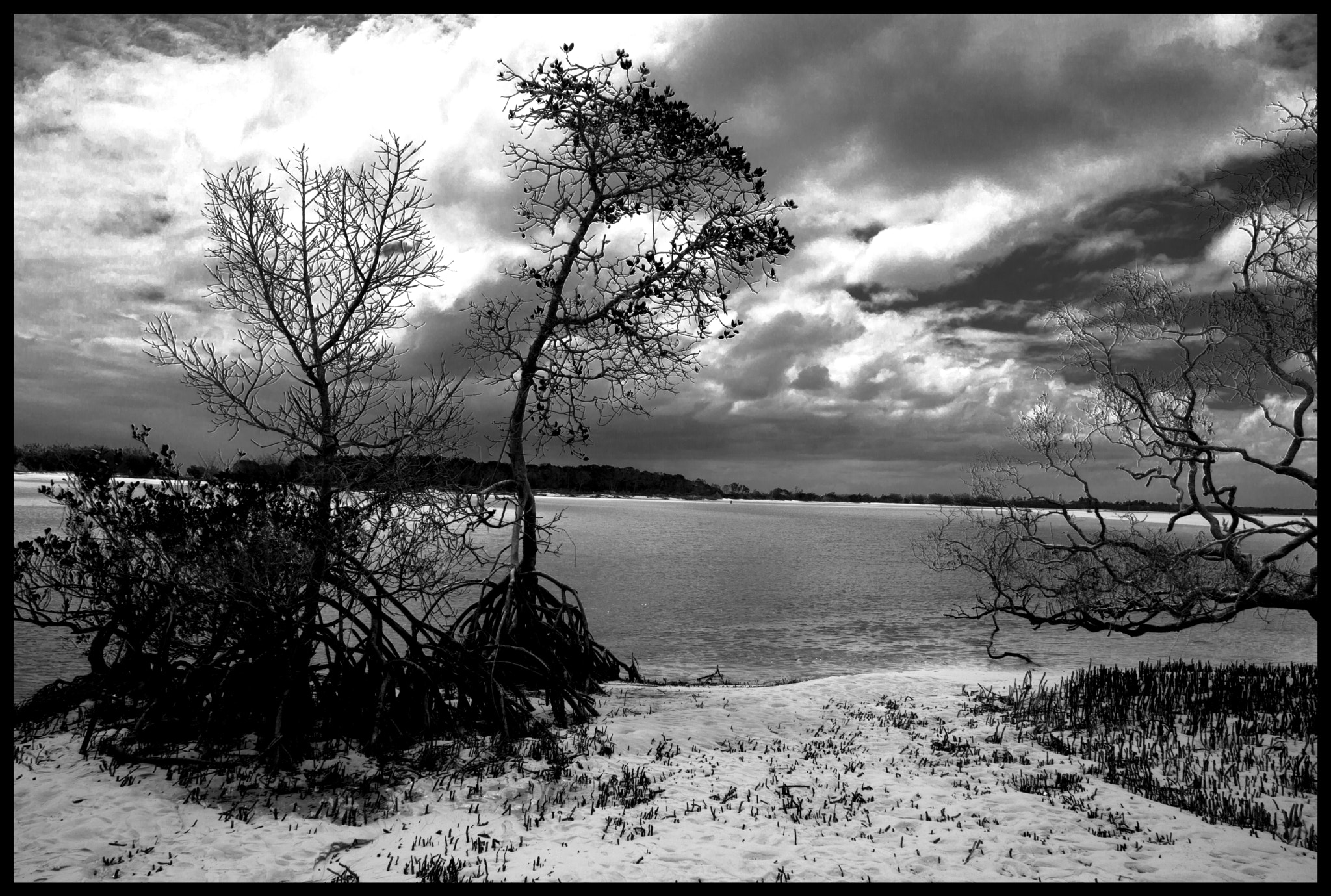 Canon EOS 5D Mark II + Canon EF 28-200mm F3.5-5.6 USM sample photo. Wathumba mangrove australia photography