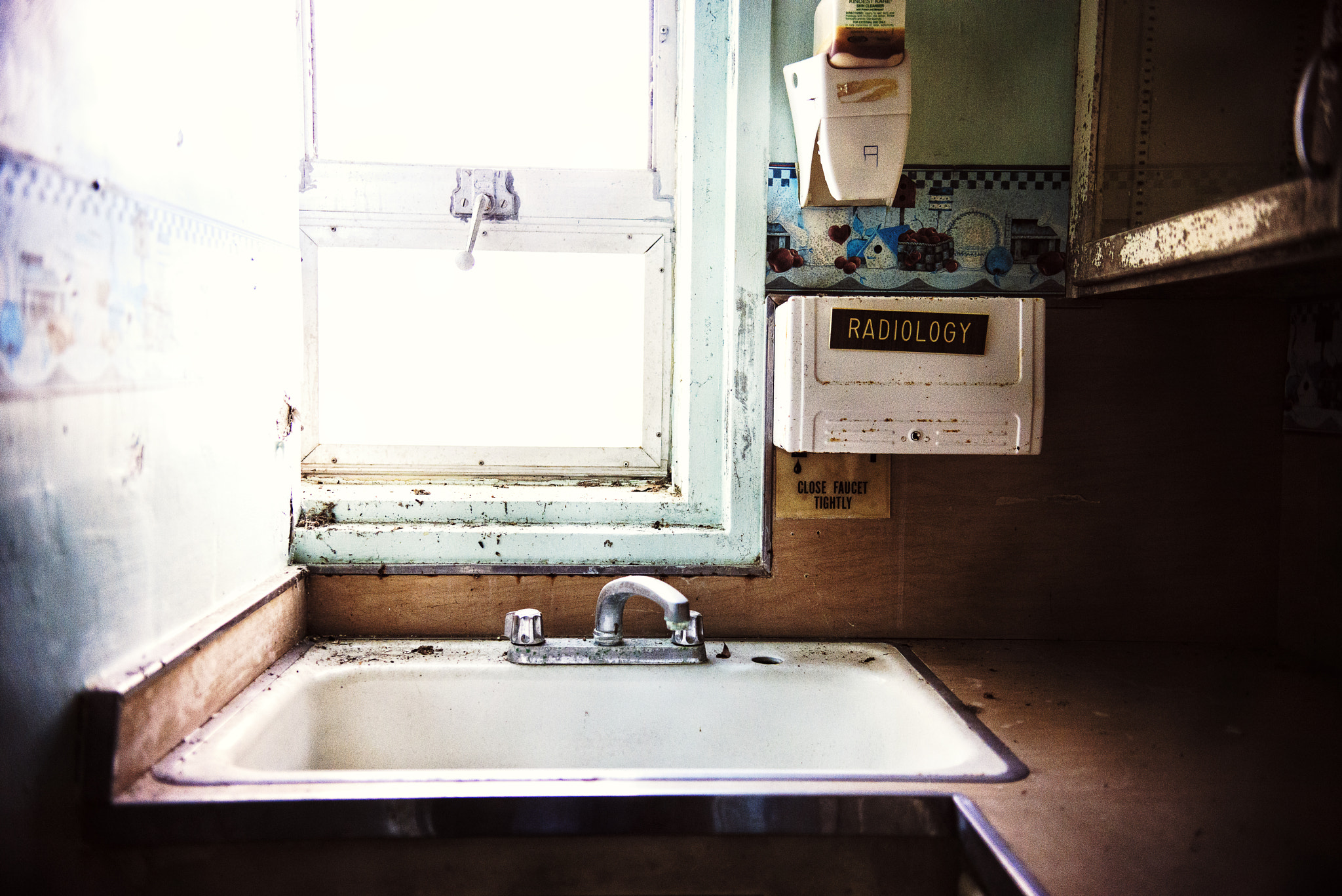 Nikon D800 sample photo. 55 photography
