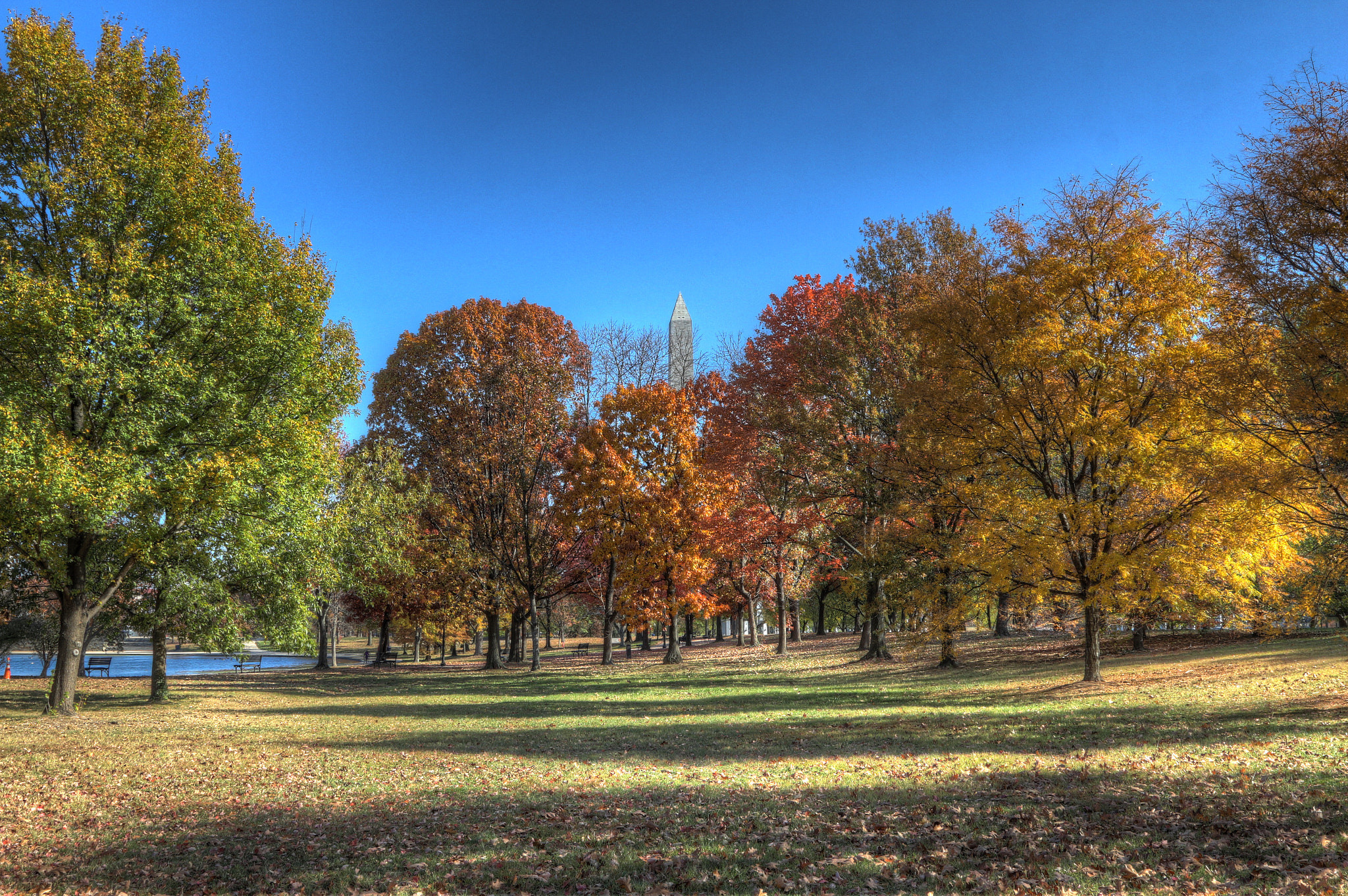 Canon EOS 700D (EOS Rebel T5i / EOS Kiss X7i) sample photo. Washington dc fall colors photography