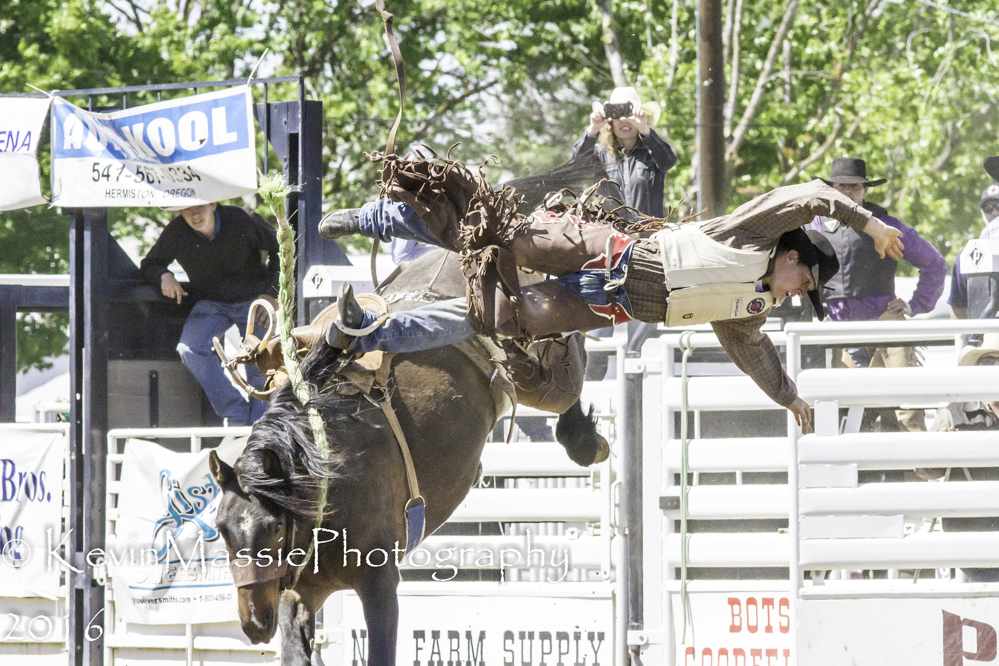 Canon EOS 7D + Canon EF 300mm F4L IS USM sample photo. Cleared for landing photography