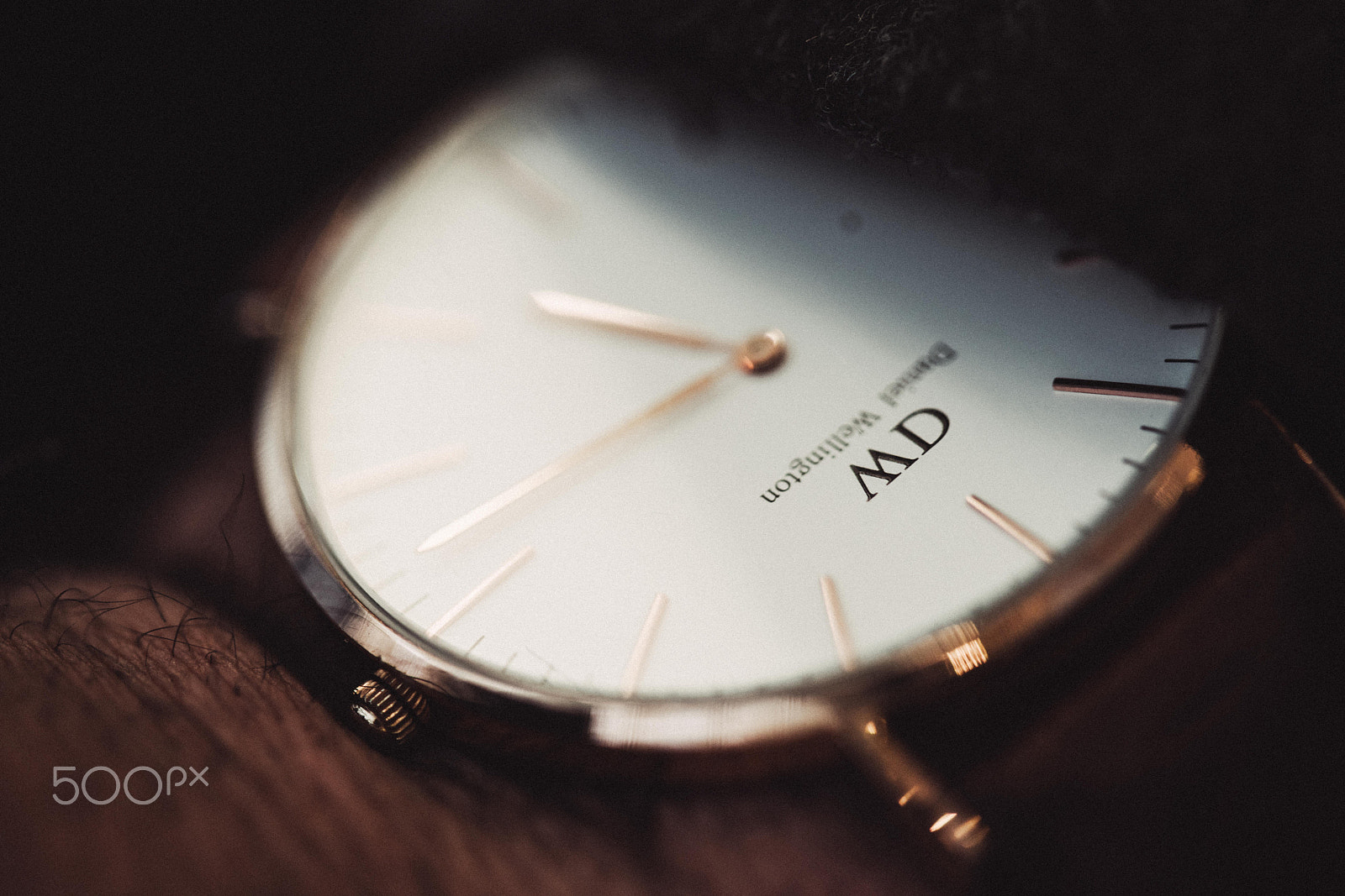 Sony a7R II + Canon EF 100mm F2.8 Macro USM sample photo. Daniel wellington watch photography