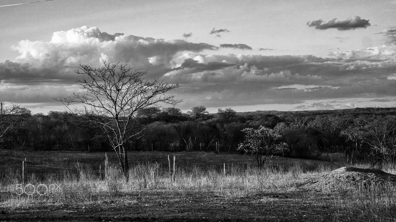 Samsung NX200 + Samsung NX 20-50mm F3.5-5.6 ED sample photo. São josé do egito, brazil, 2016 photography