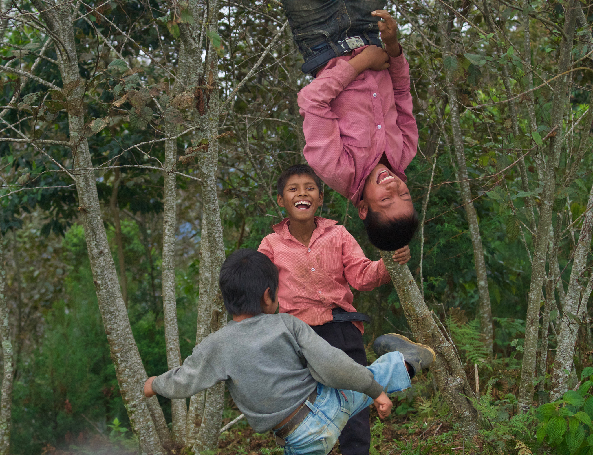 Sony a6000 + Tamron 18-270mm F3.5-6.3 Di II PZD sample photo. Playing in the trees photography