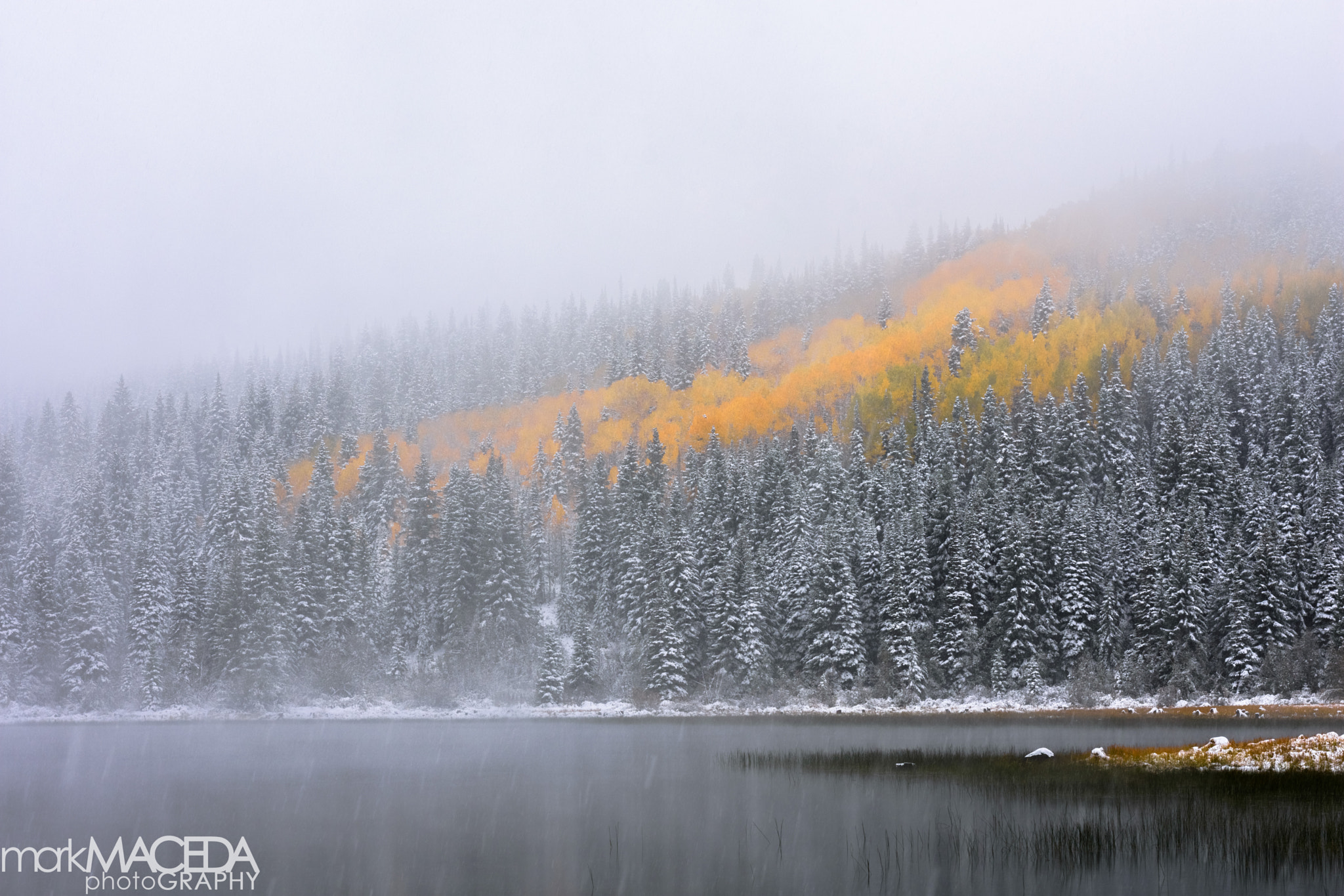 Nikon AF-S Nikkor 24-70mm F2.8G ED sample photo. Kebler pass photography