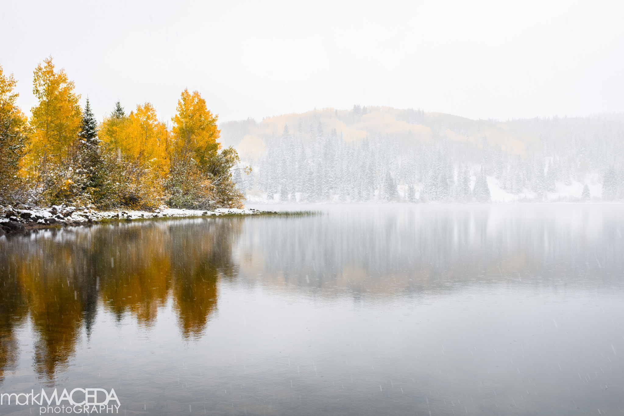 Nikon AF-S Nikkor 24-70mm F2.8G ED sample photo. Kebler pass photography
