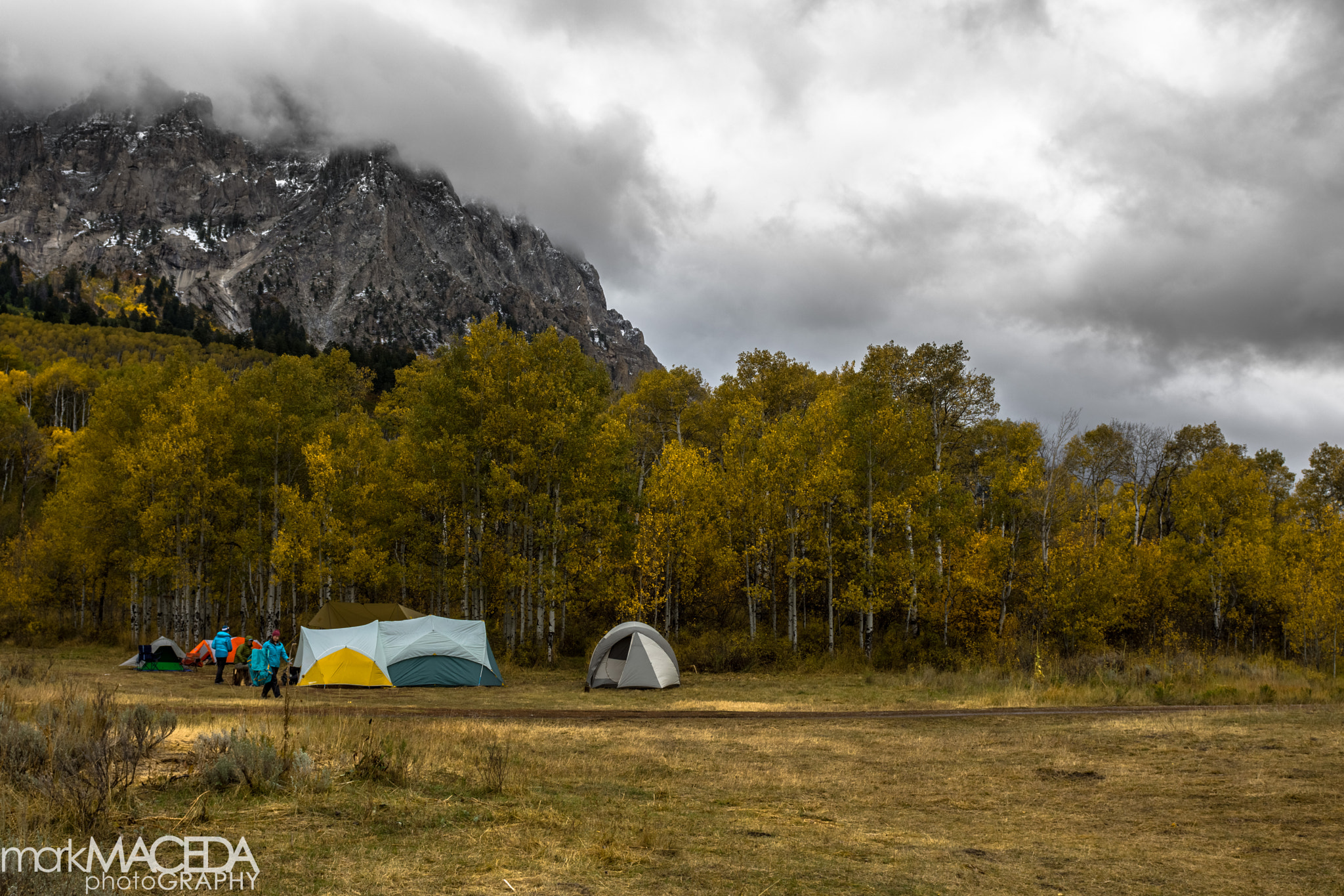 Nikon AF-S Nikkor 24-70mm F2.8G ED sample photo. Kebler pass photography