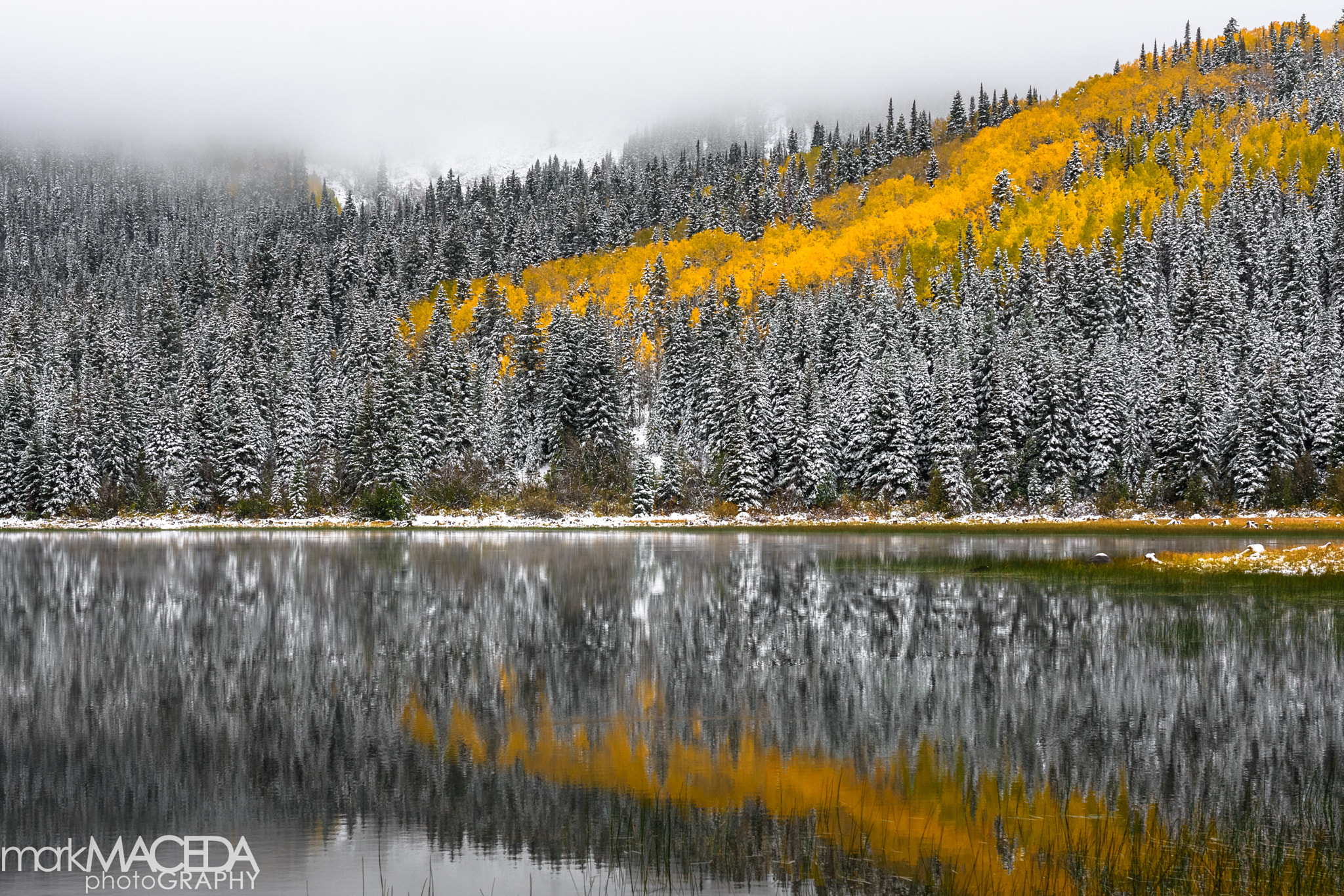 Nikon AF-S Nikkor 24-70mm F2.8G ED sample photo. Kebler pass photography