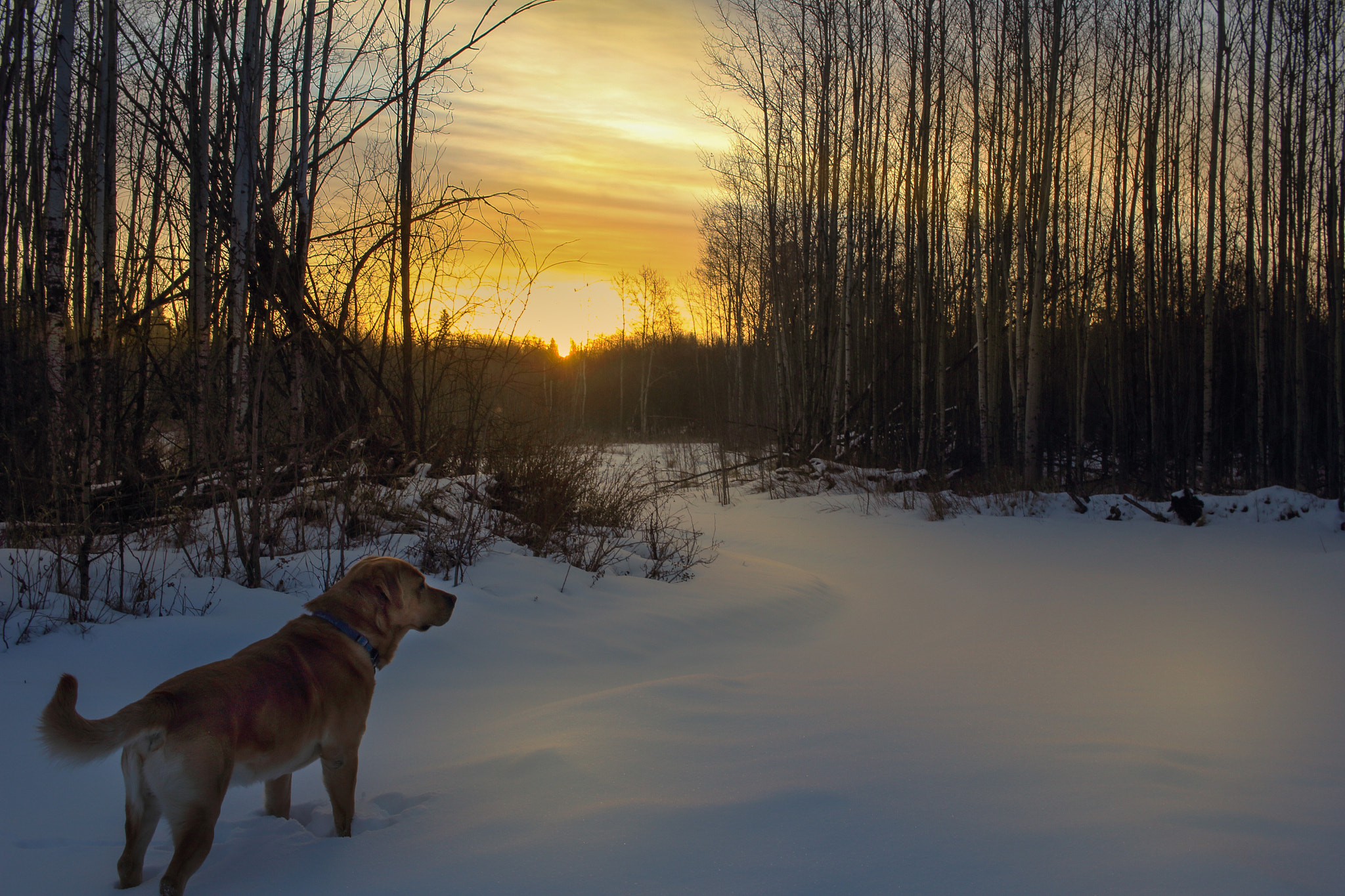 Canon EF-S 24mm F2.8 STM sample photo. Sam waiting for the sun to rise photography