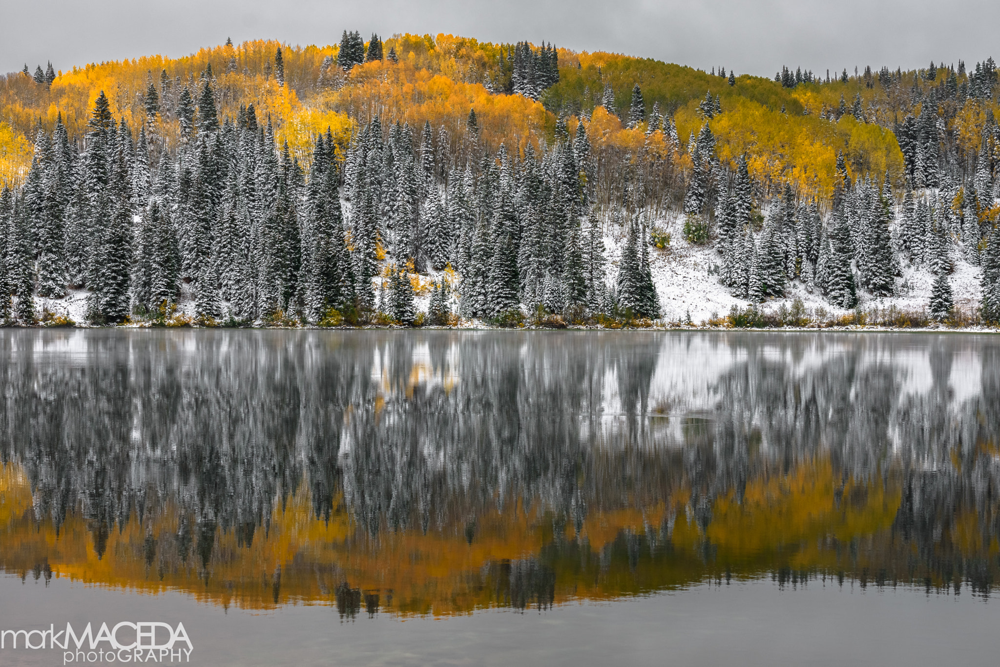 Nikon AF-S Nikkor 24-70mm F2.8G ED sample photo. Kebler pass photography