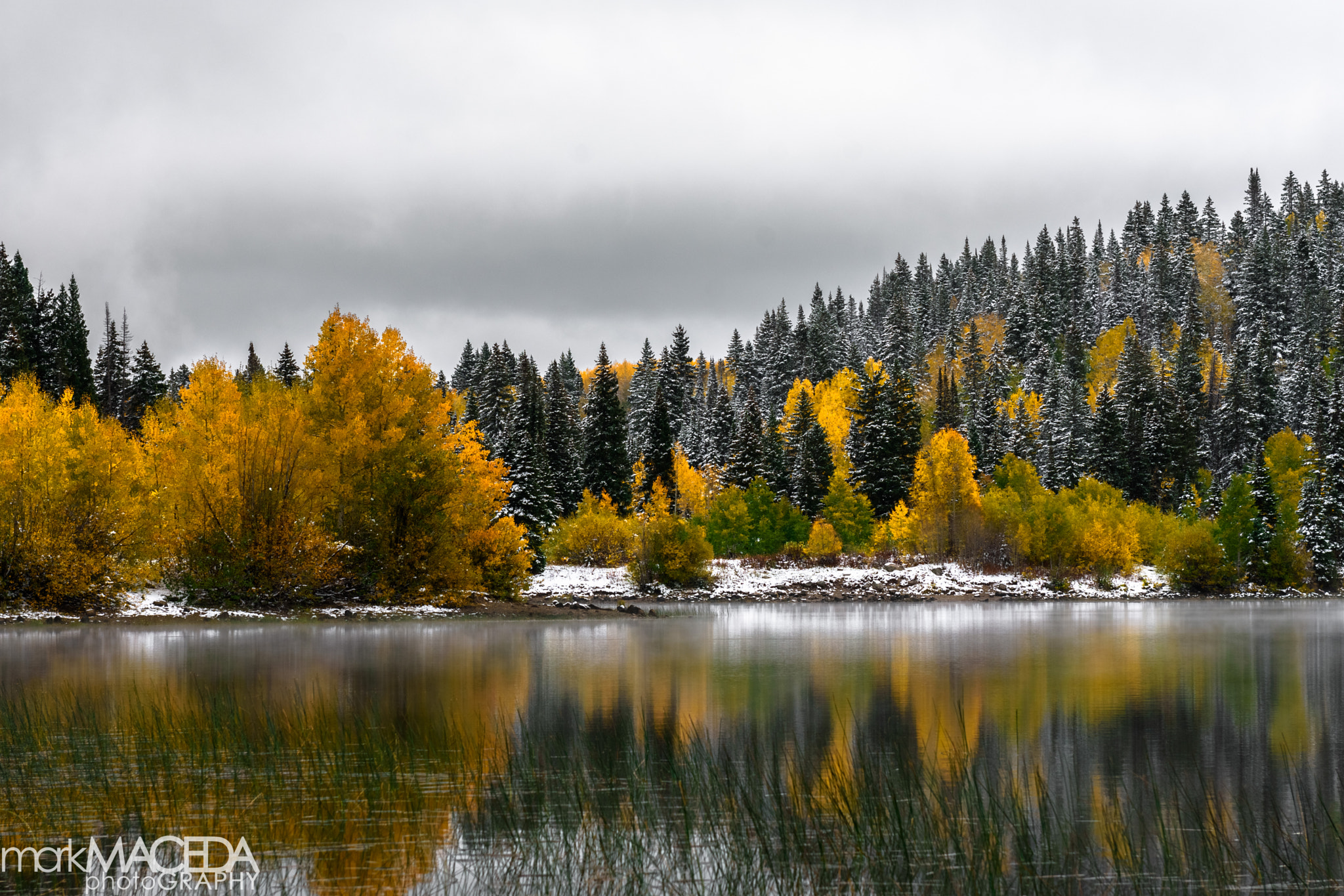 Nikon AF-S Nikkor 24-70mm F2.8G ED sample photo. Kebler pass photography
