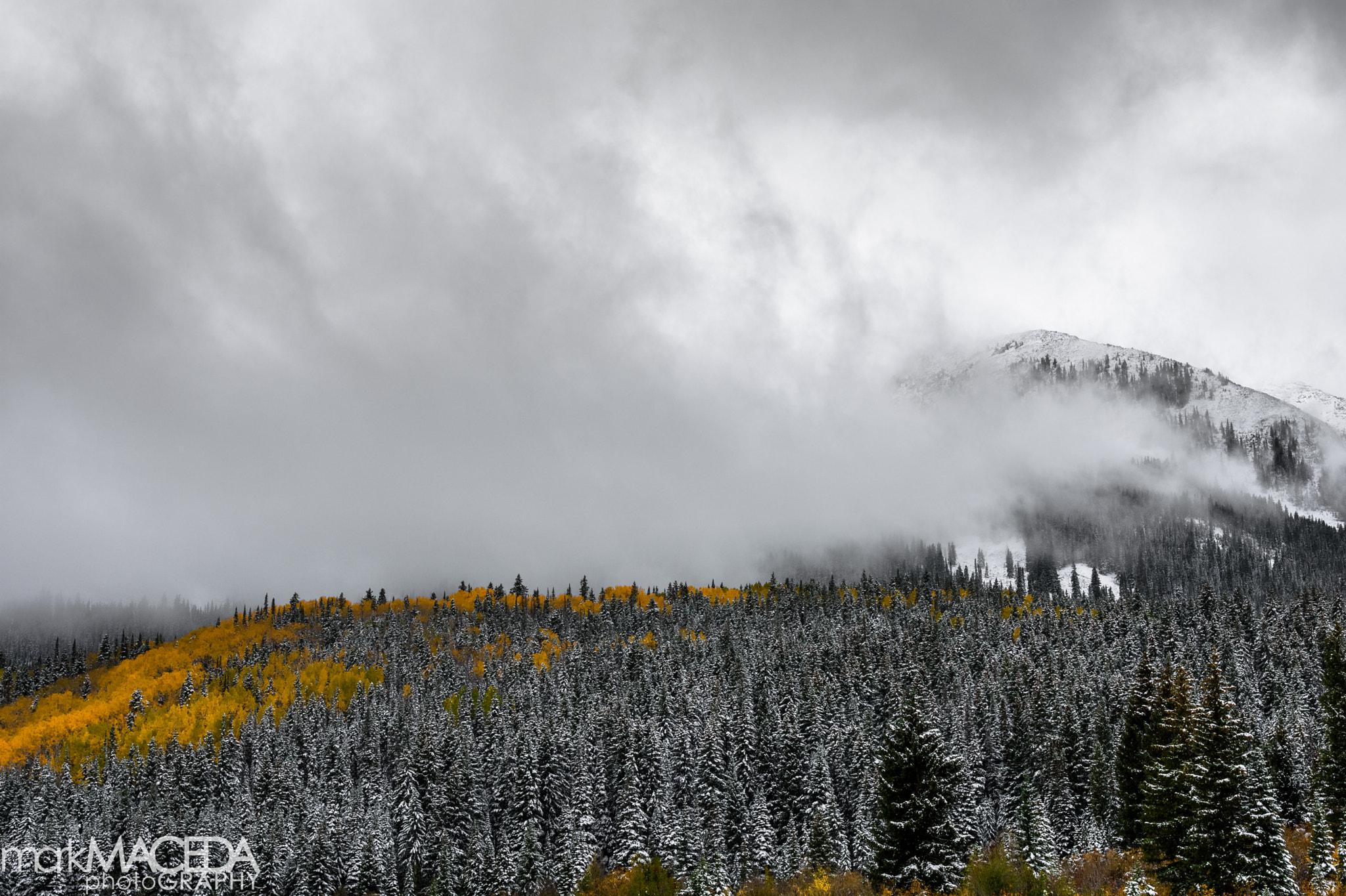 Nikon AF-S Nikkor 24-70mm F2.8G ED sample photo. Kebler pass photography