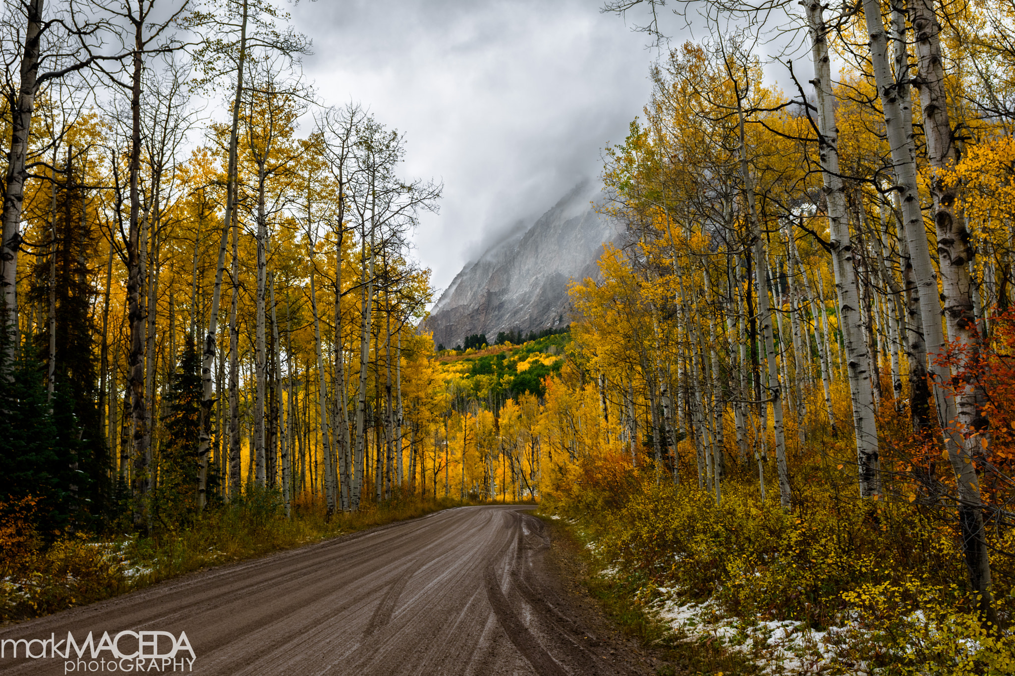 Nikon AF-S Nikkor 24-70mm F2.8G ED sample photo. Kebler pass photography