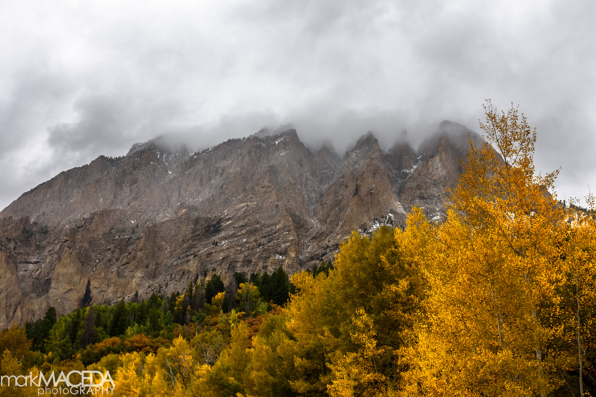 Nikon AF-S Nikkor 24-70mm F2.8G ED sample photo. Kebler pass photography