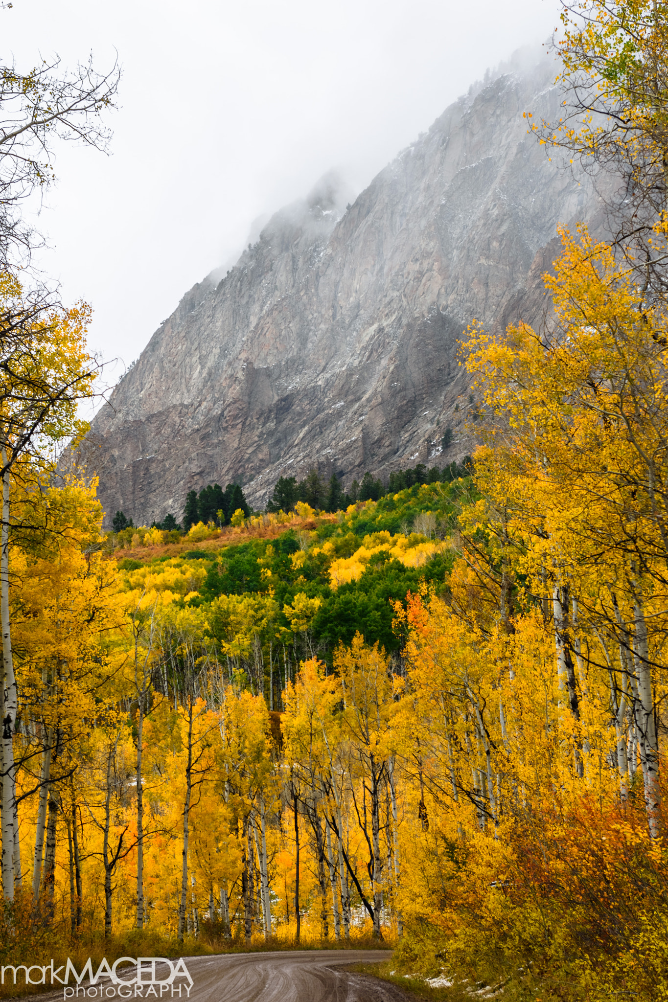 Nikon AF-S Nikkor 24-70mm F2.8G ED sample photo. Kebler pass photography