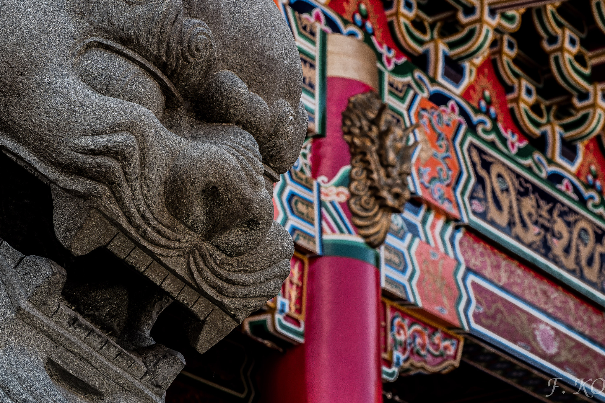 Olympus OM-D E-M5 II sample photo. Lion guardian photography