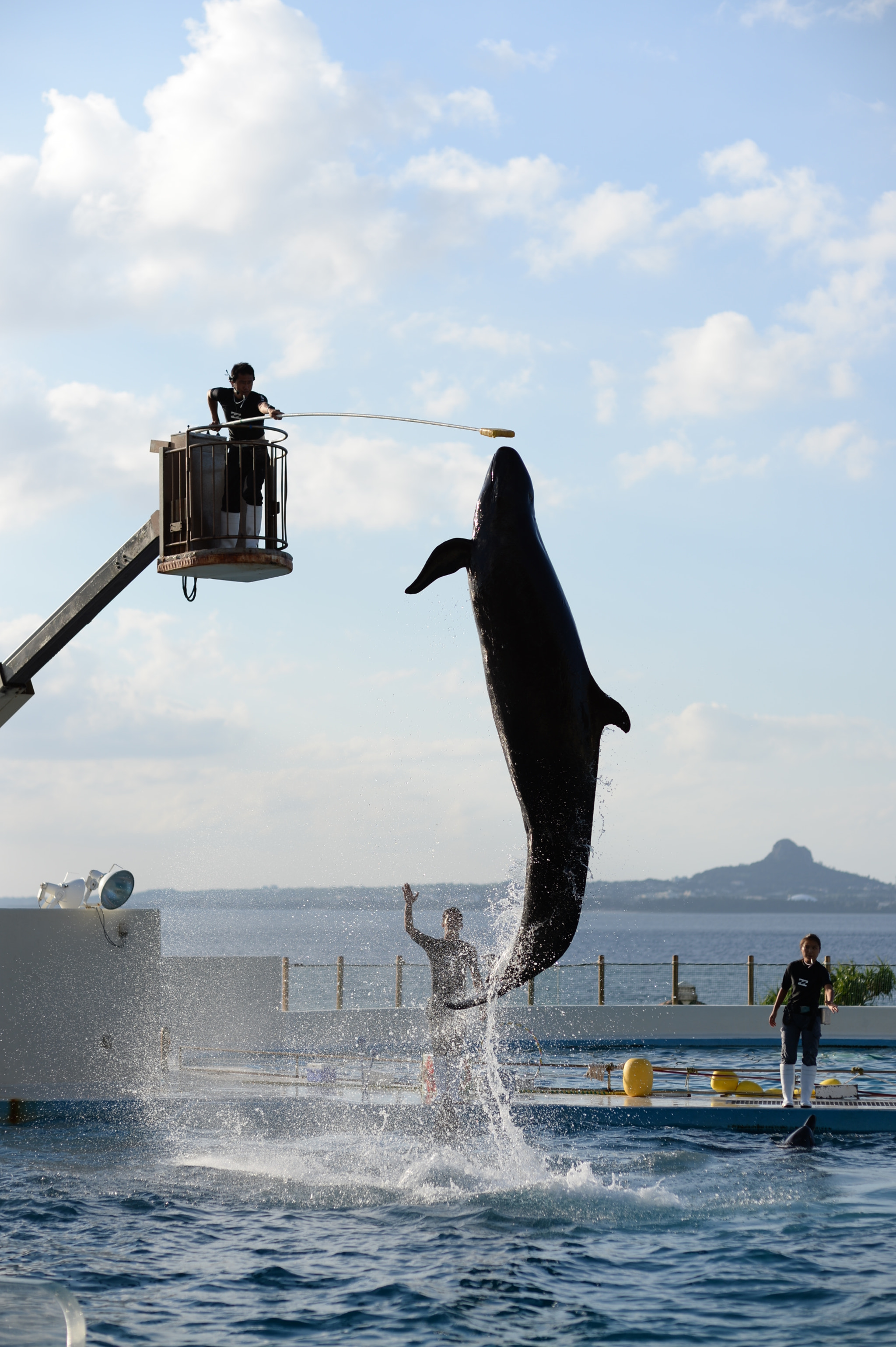 Nikon Df sample photo. In okinawa photography