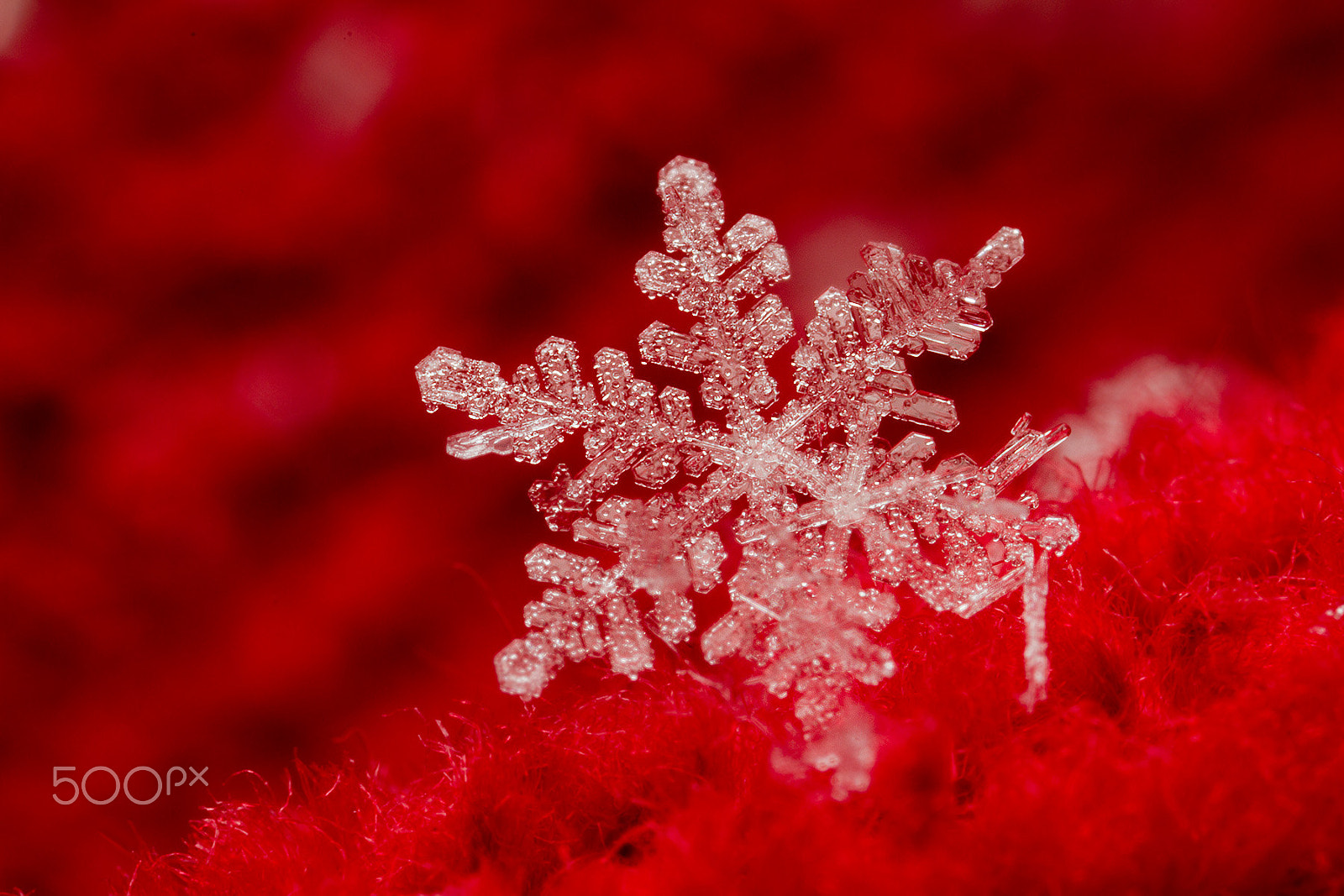 Canon MP-E 65mm F2.5 1-5x Macro Photo sample photo. 雪花晶体 photography