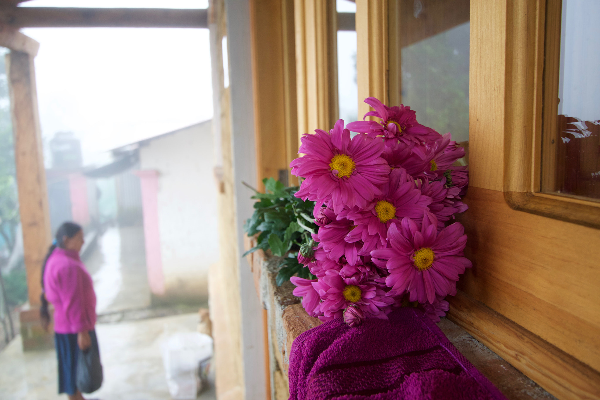 Sony a6000 + Tamron 18-270mm F3.5-6.3 Di II PZD sample photo. Windowsill bouquet photography