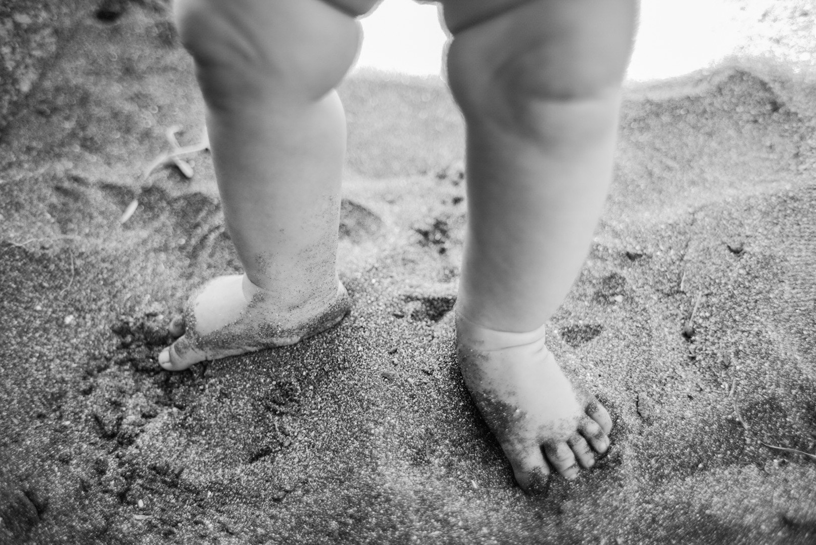 28mm F1.8 sample photo. Patitas lindas photography