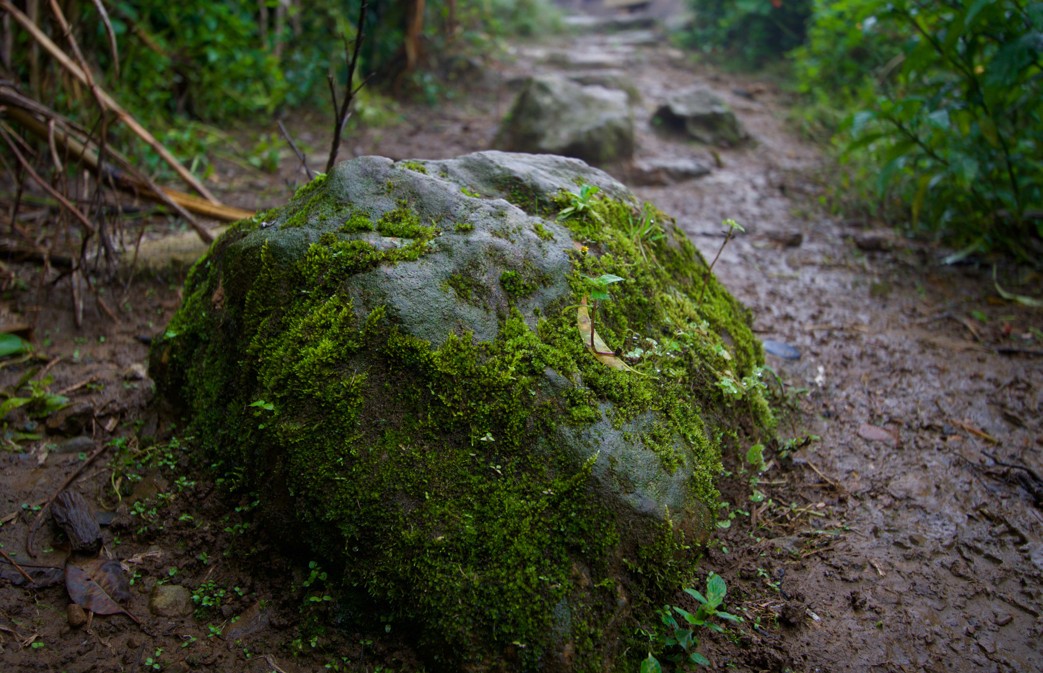 Sony a6000 sample photo. Rock trail photography