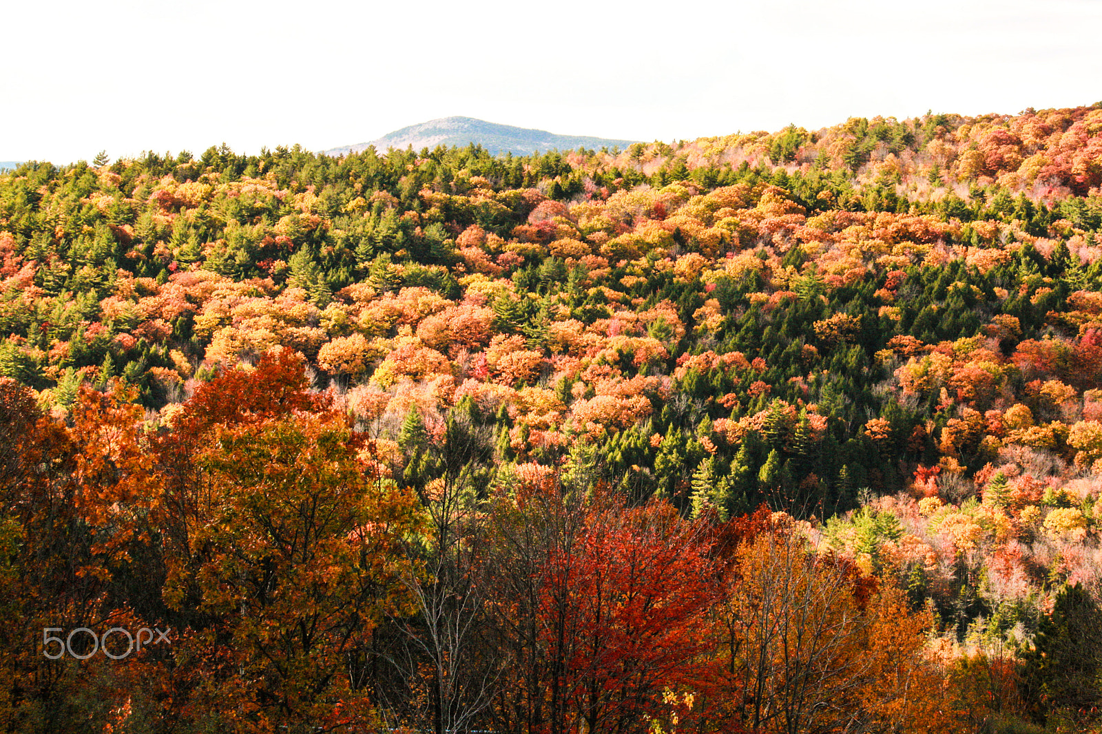 Canon EF-S 55-250mm F4-5.6 IS sample photo. Foliage in vermont photography