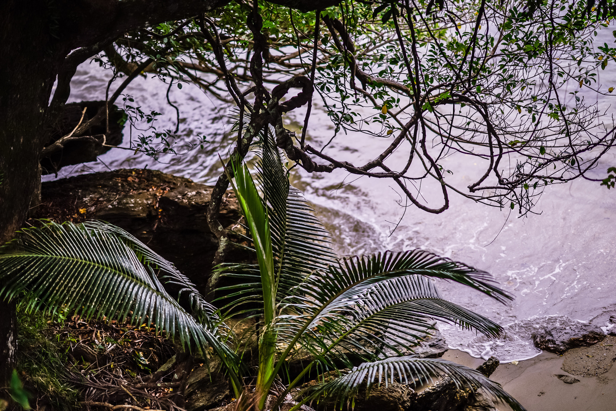 Sony a7S sample photo. Seaside photography