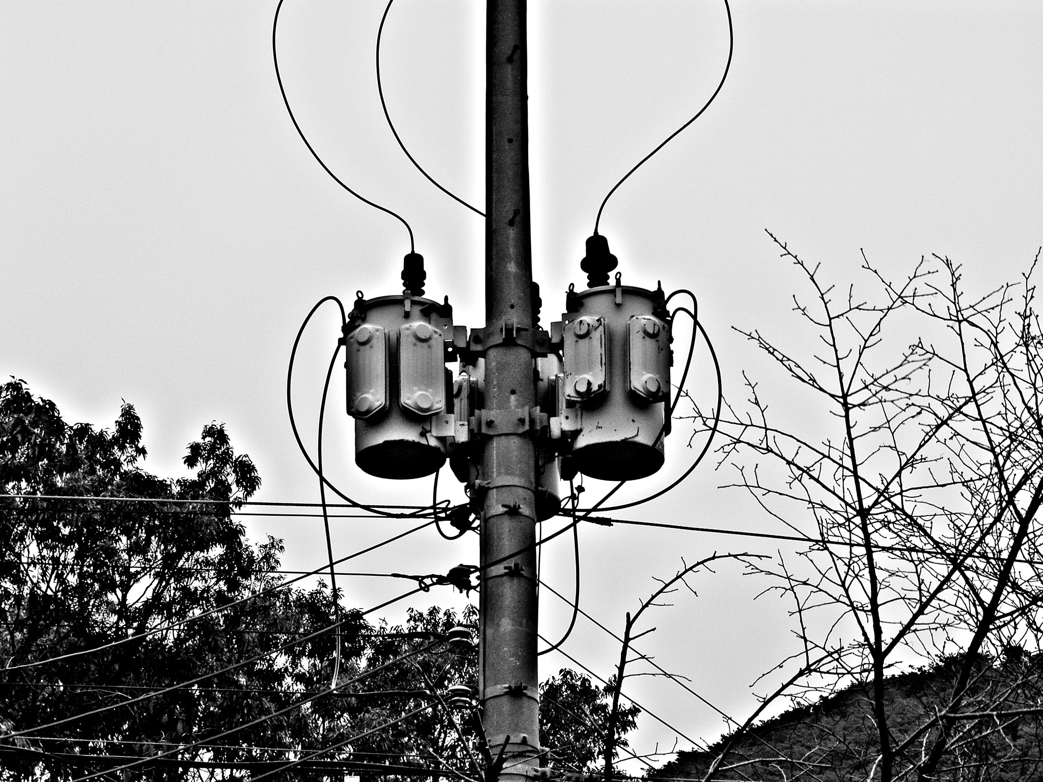Samsung Pro 815 sample photo. Sketch... photography