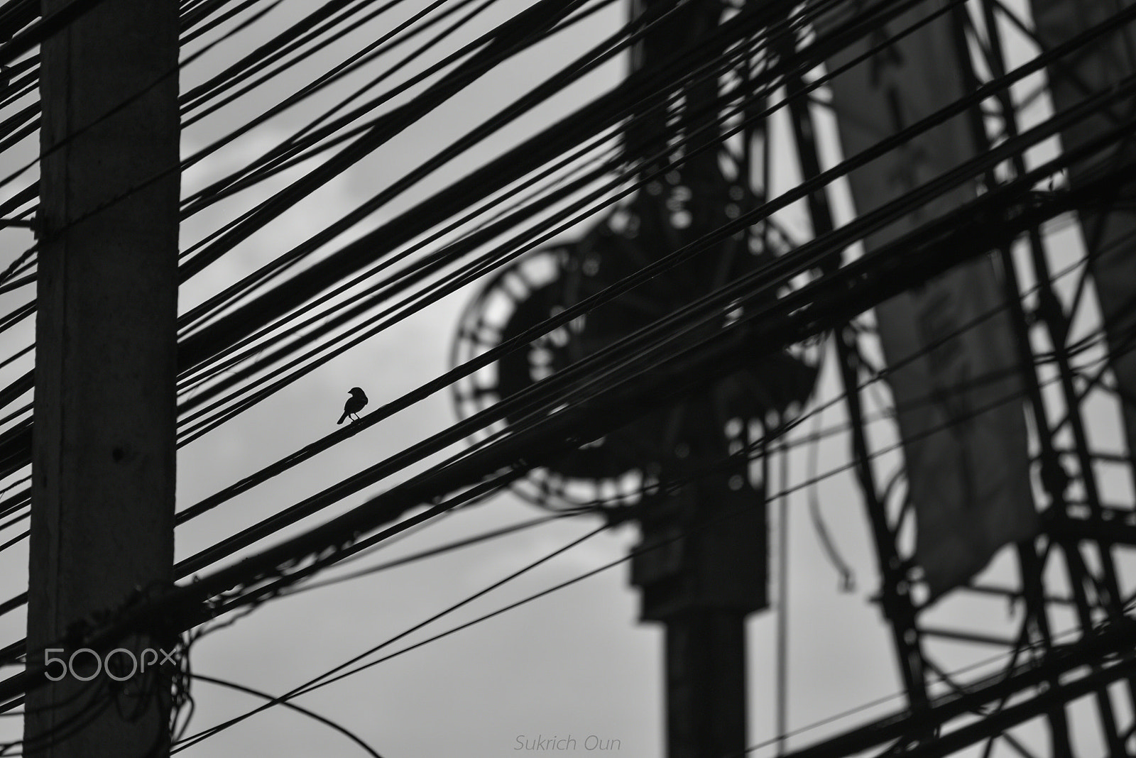 AF Zoom-Nikkor 75-300mm f/4.5-5.6 sample photo. Bird in the city. photography