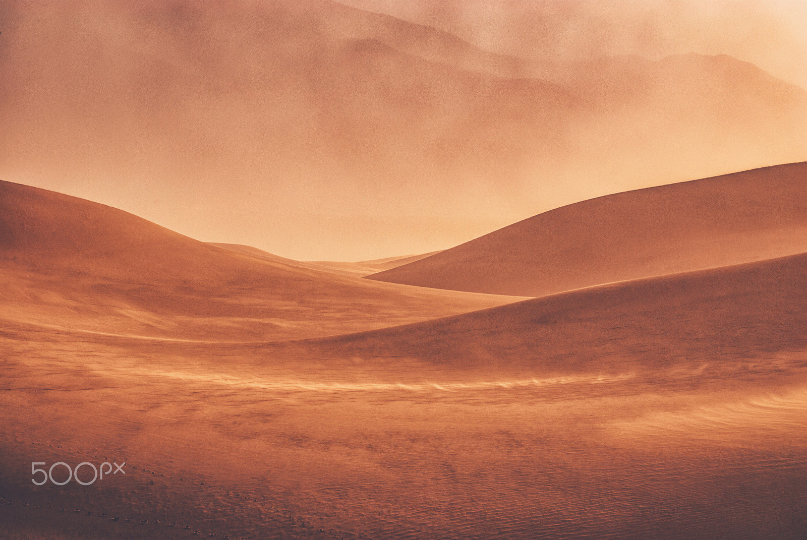 Nikon D200 sample photo. 2008, death valley photography