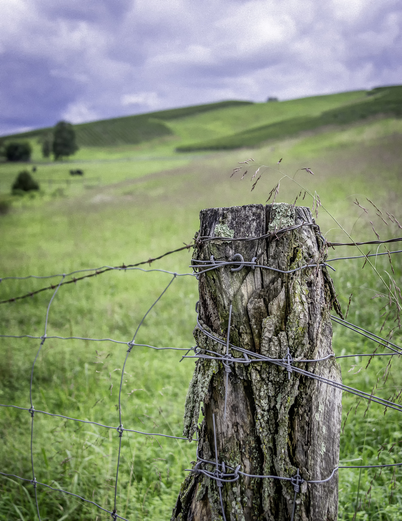 Pentax K-3 II sample photo. Virginia country photography