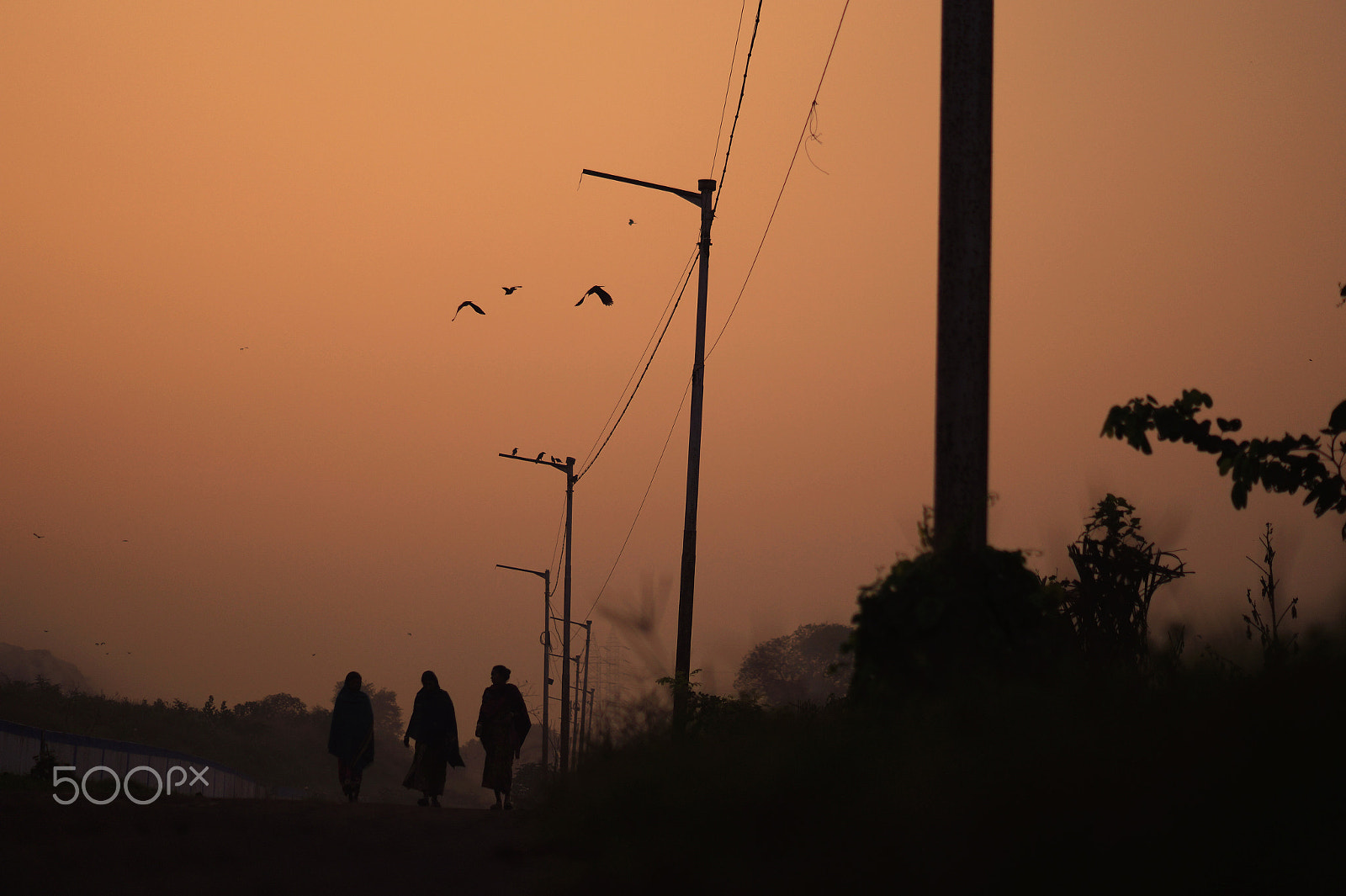 Sony SLT-A58 sample photo. Let’s walk together! photography