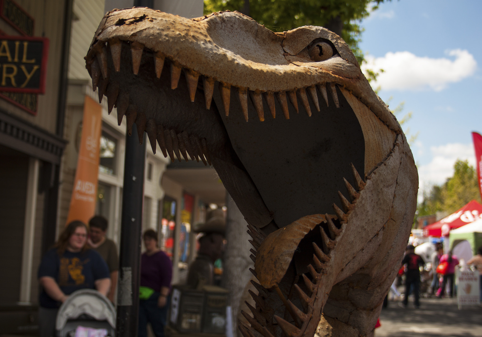 Canon EF-S 18-55mm F3.5-5.6 II sample photo. Raptor rampage photography