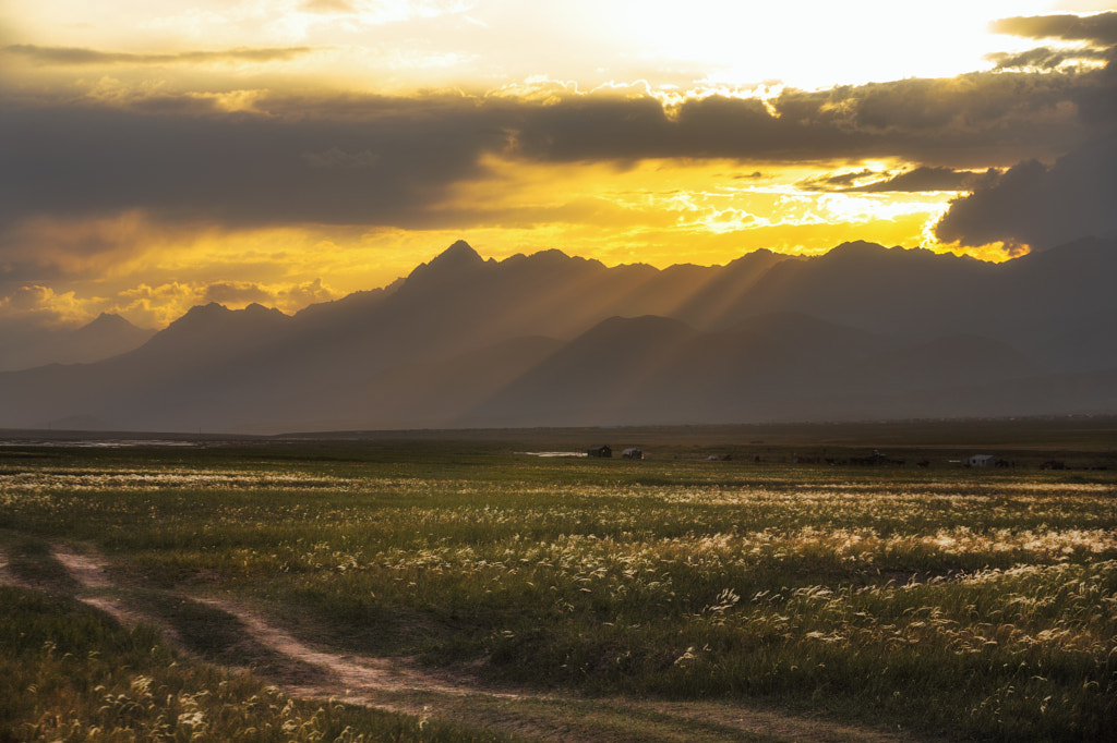 Sunset in Alay valley by Егор Козадаев on 500px.com