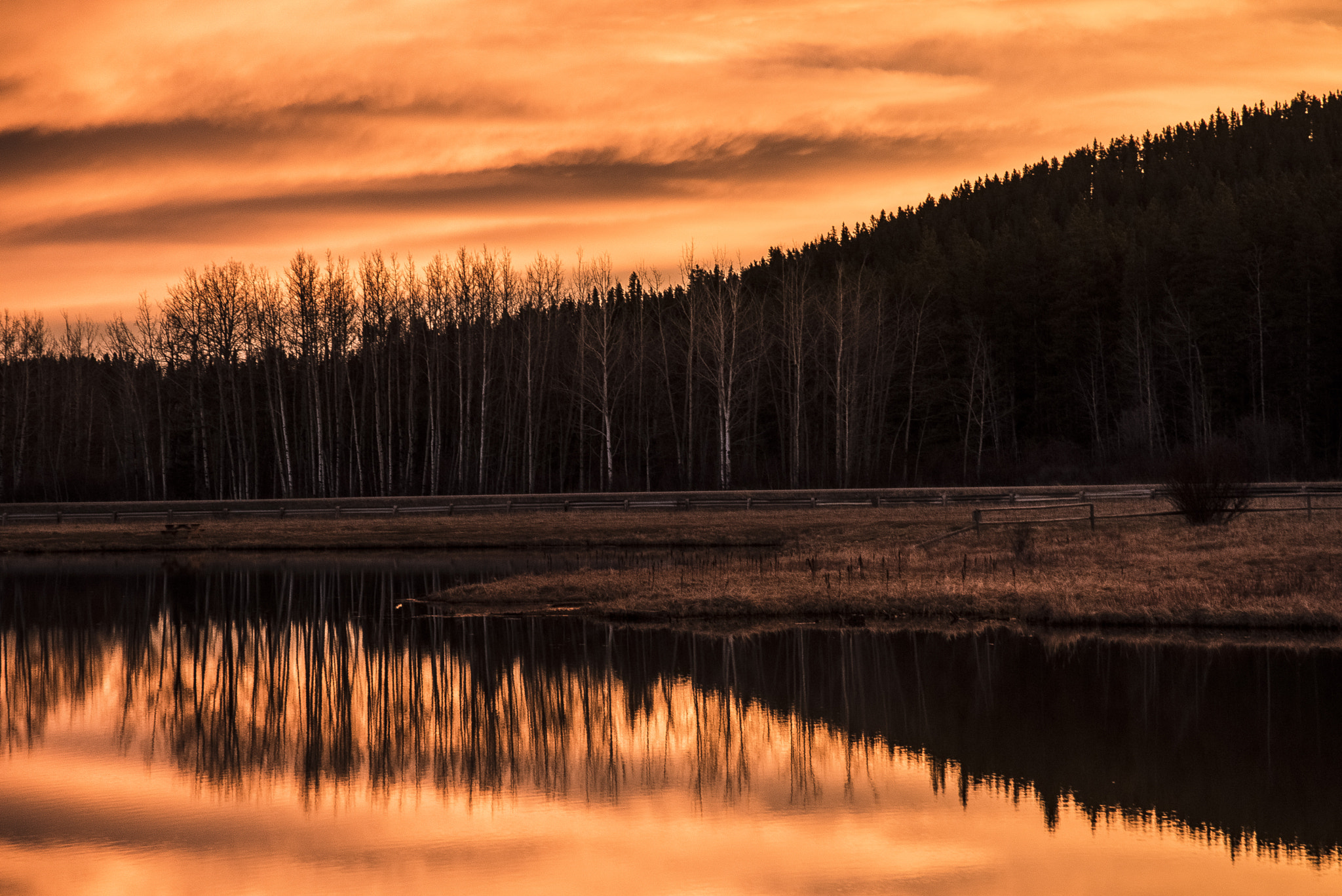 Nikon D750 sample photo. Mclean pond sunrise photography
