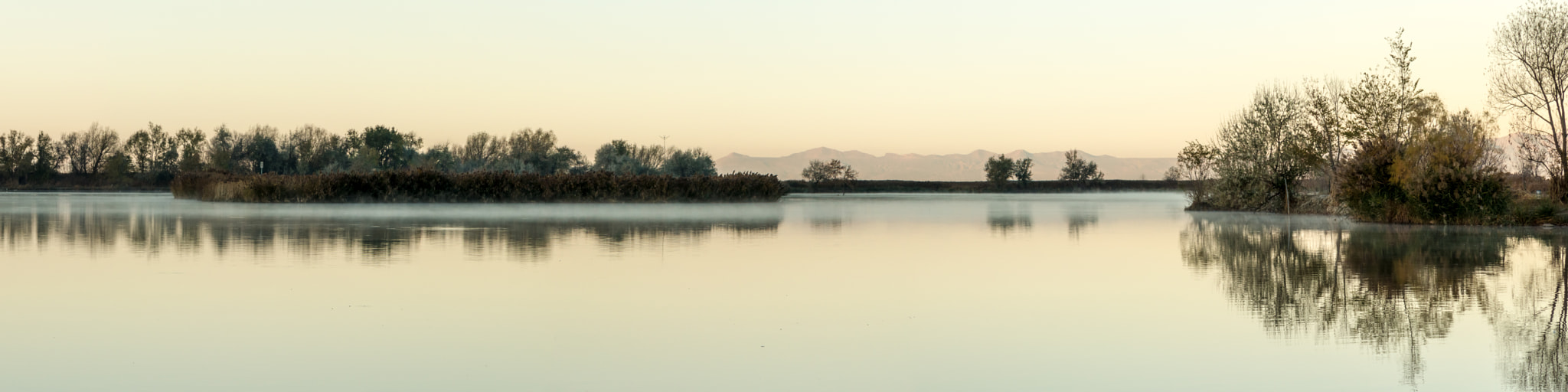 Canon EOS 100D (EOS Rebel SL1 / EOS Kiss X7) sample photo. Morning mist in golden light photography