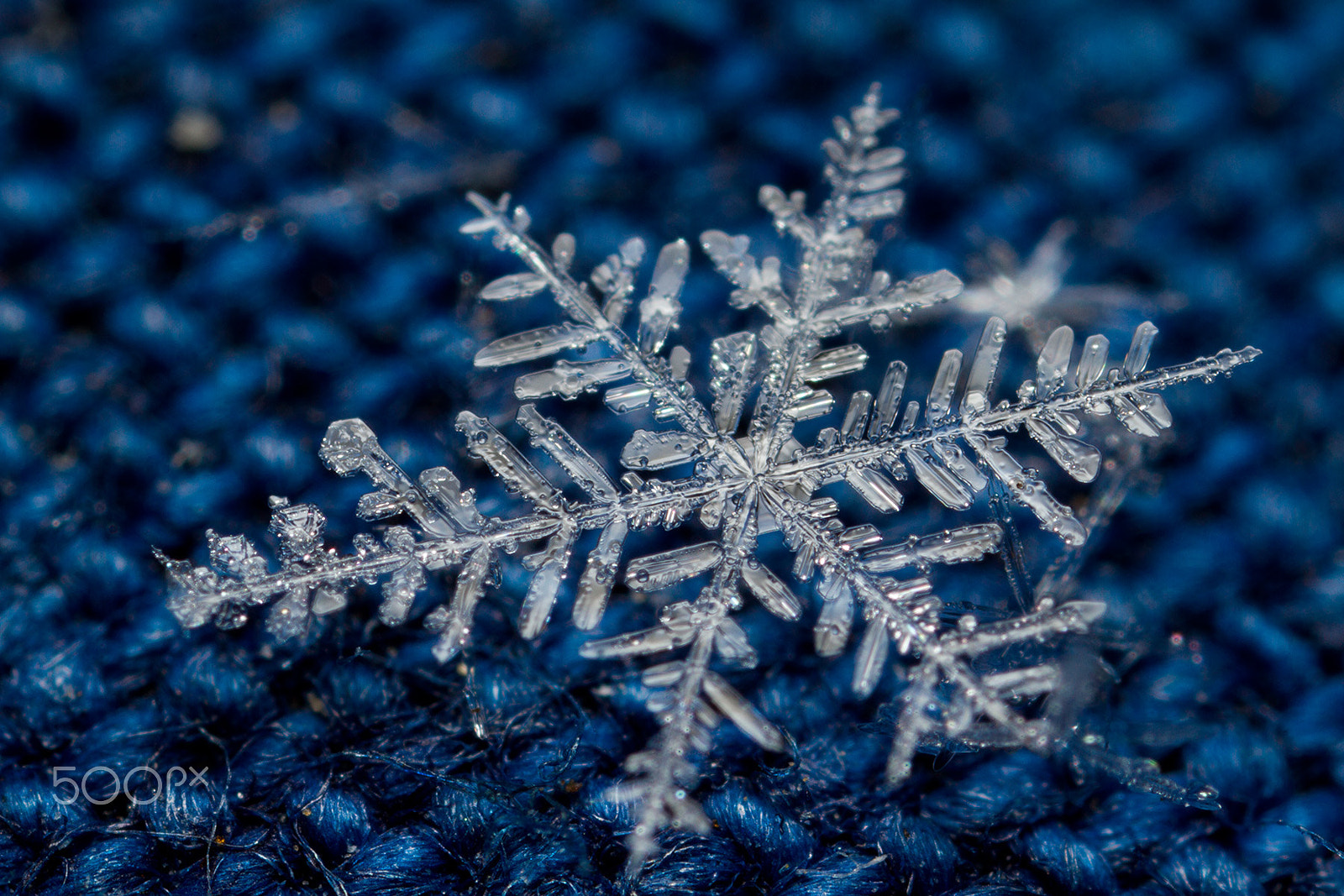 Canon MP-E 65mm F2.5 1-5x Macro Photo sample photo. 雪花晶体 photography