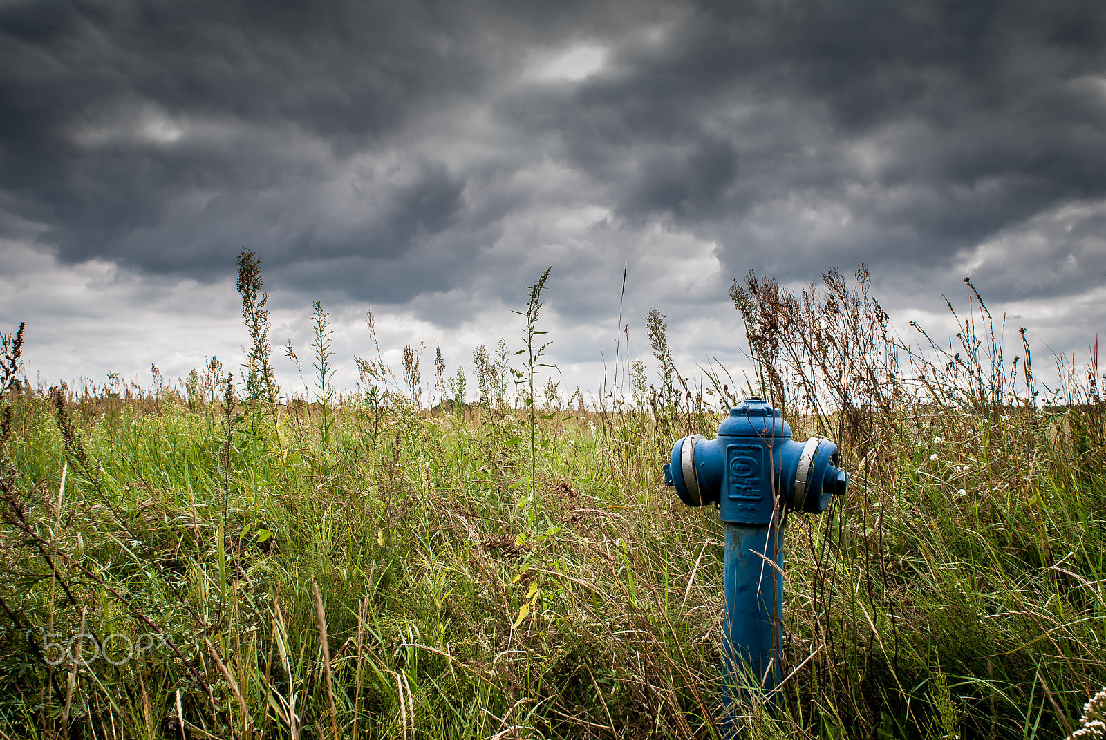 Nikon D80 sample photo. Water hose photography