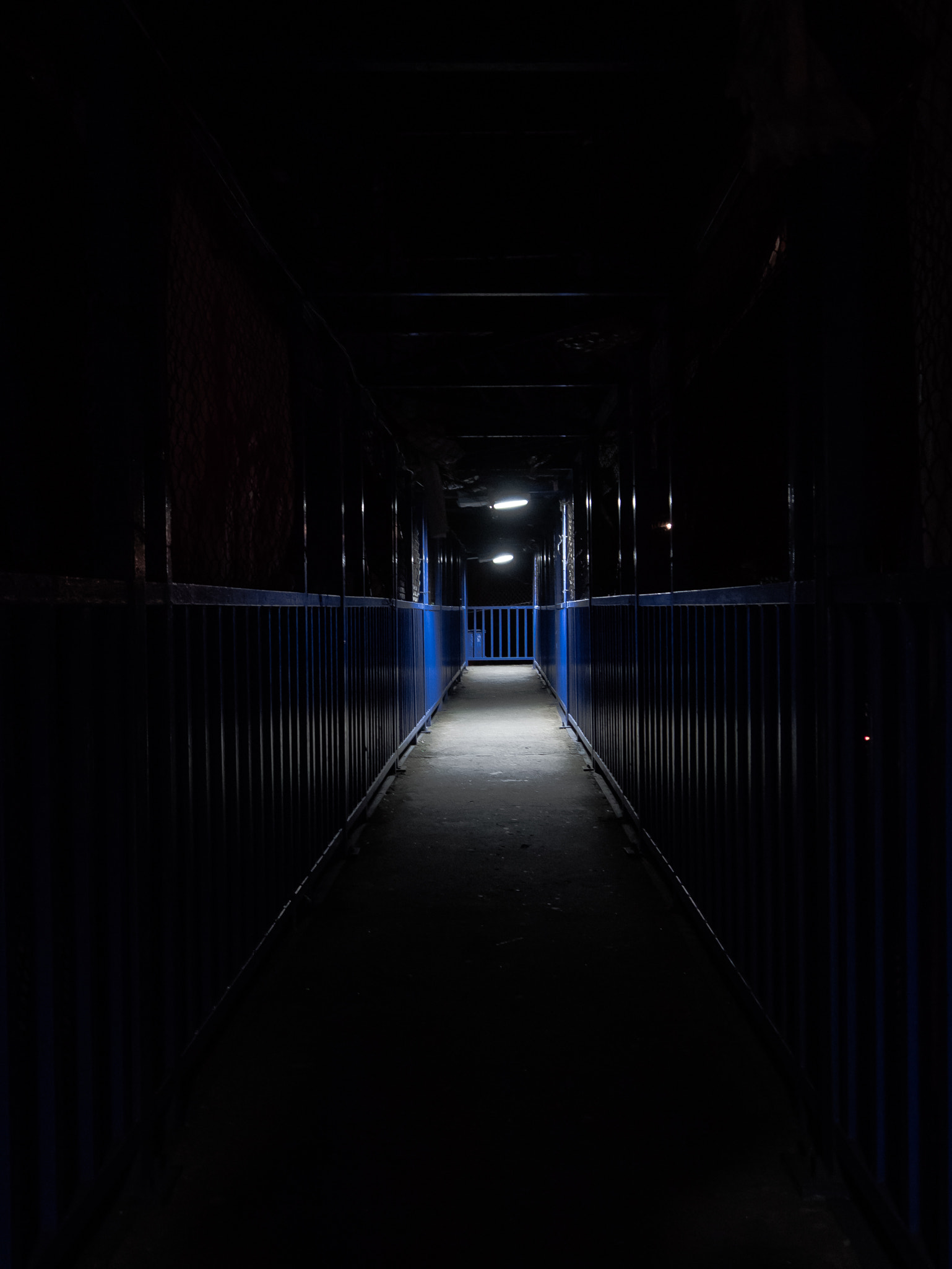 Panasonic Lumix DMC-G3 sample photo. Into the dark photography