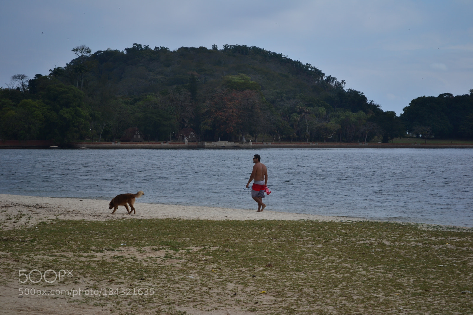 Nikon D3100 sample photo. Paquetá photography