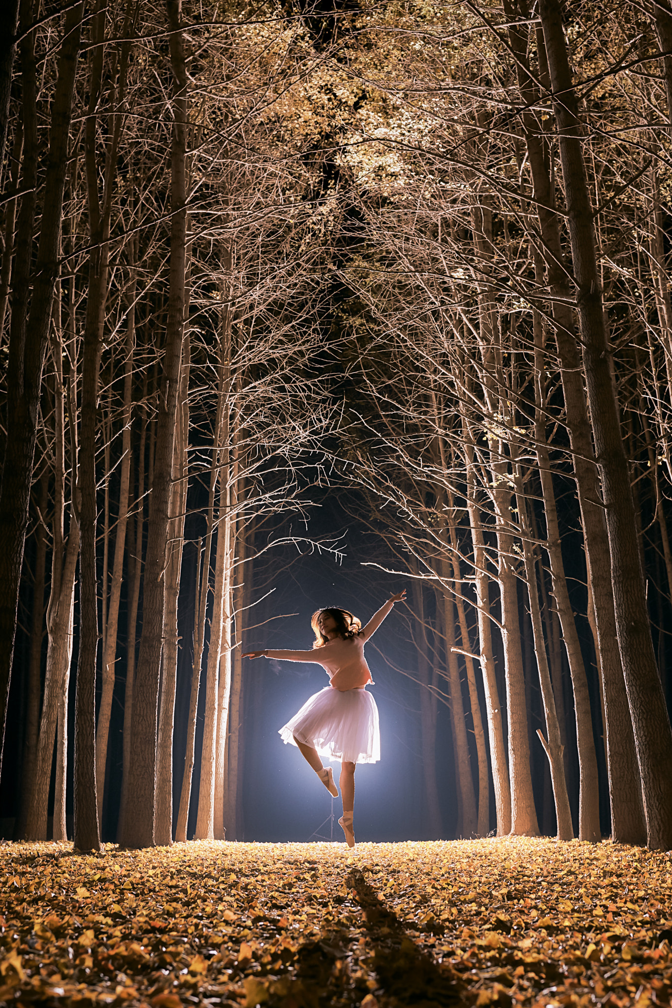 Canon EF 35mm F1.4L II USM sample photo. Night dancer photography