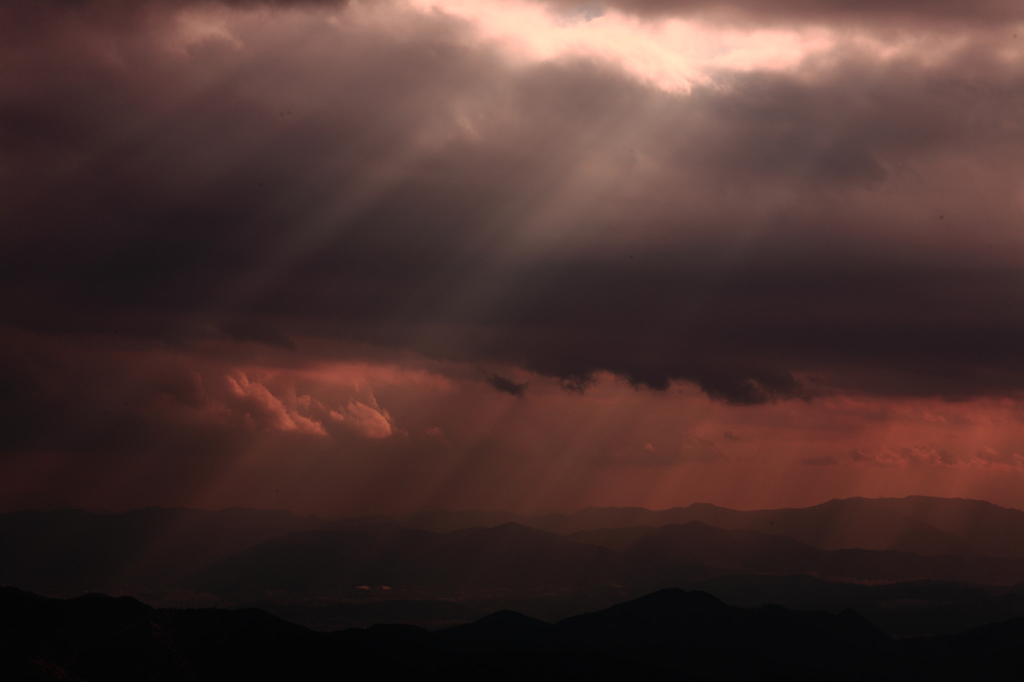 Canon EF 85mm F1.2L II USM sample photo. Right after rain photography