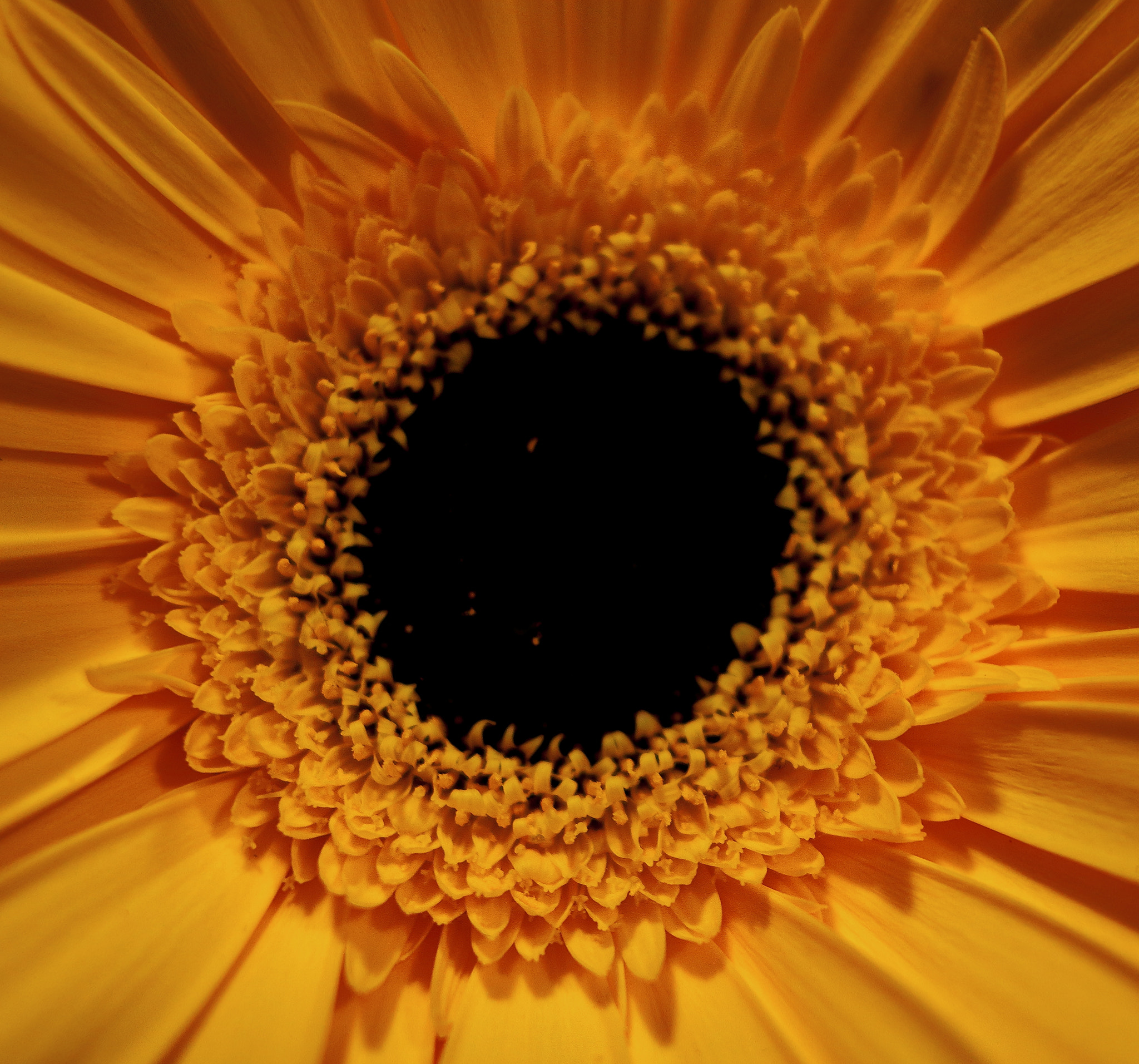 Canon EF-S 24mm F2.8 STM sample photo. Black hole photography