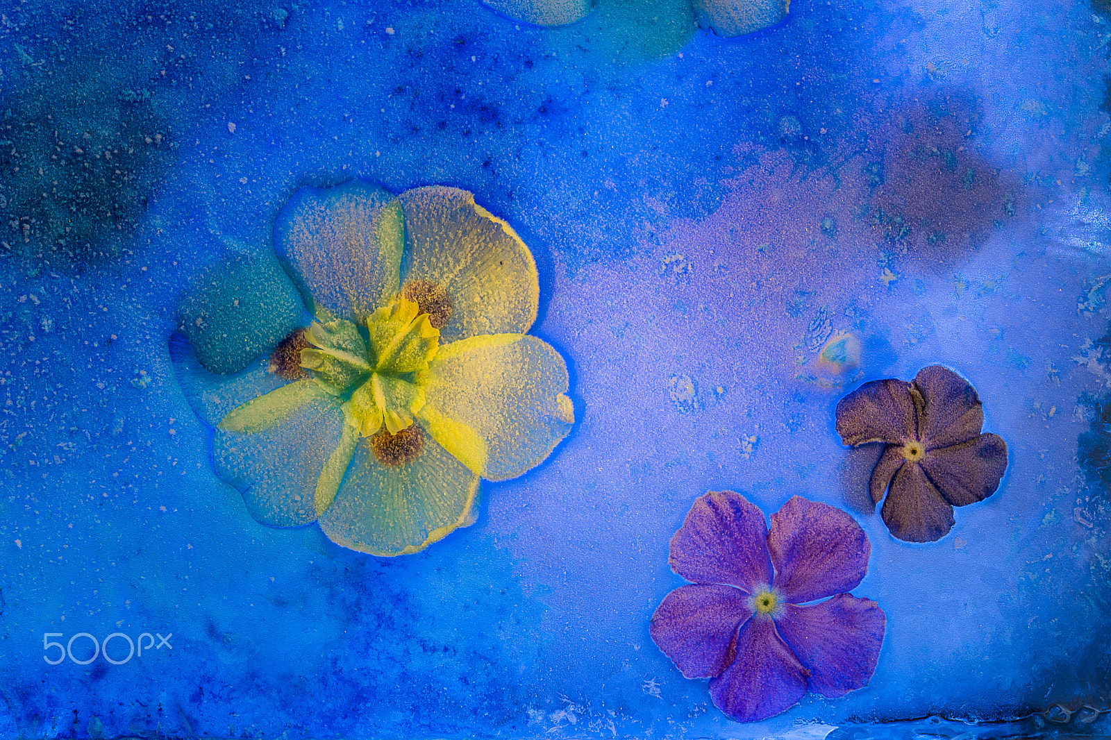 Sigma 105mm F2.8 EX DG OS HSM sample photo. The happy hippy group photography