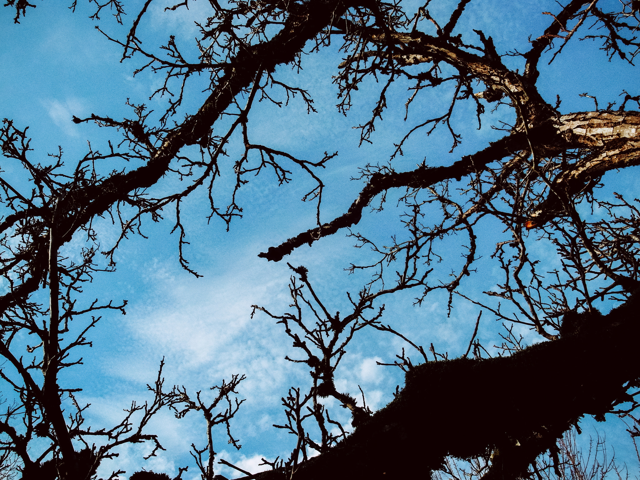 RICOH GR LENS sample photo. Reaching up photography