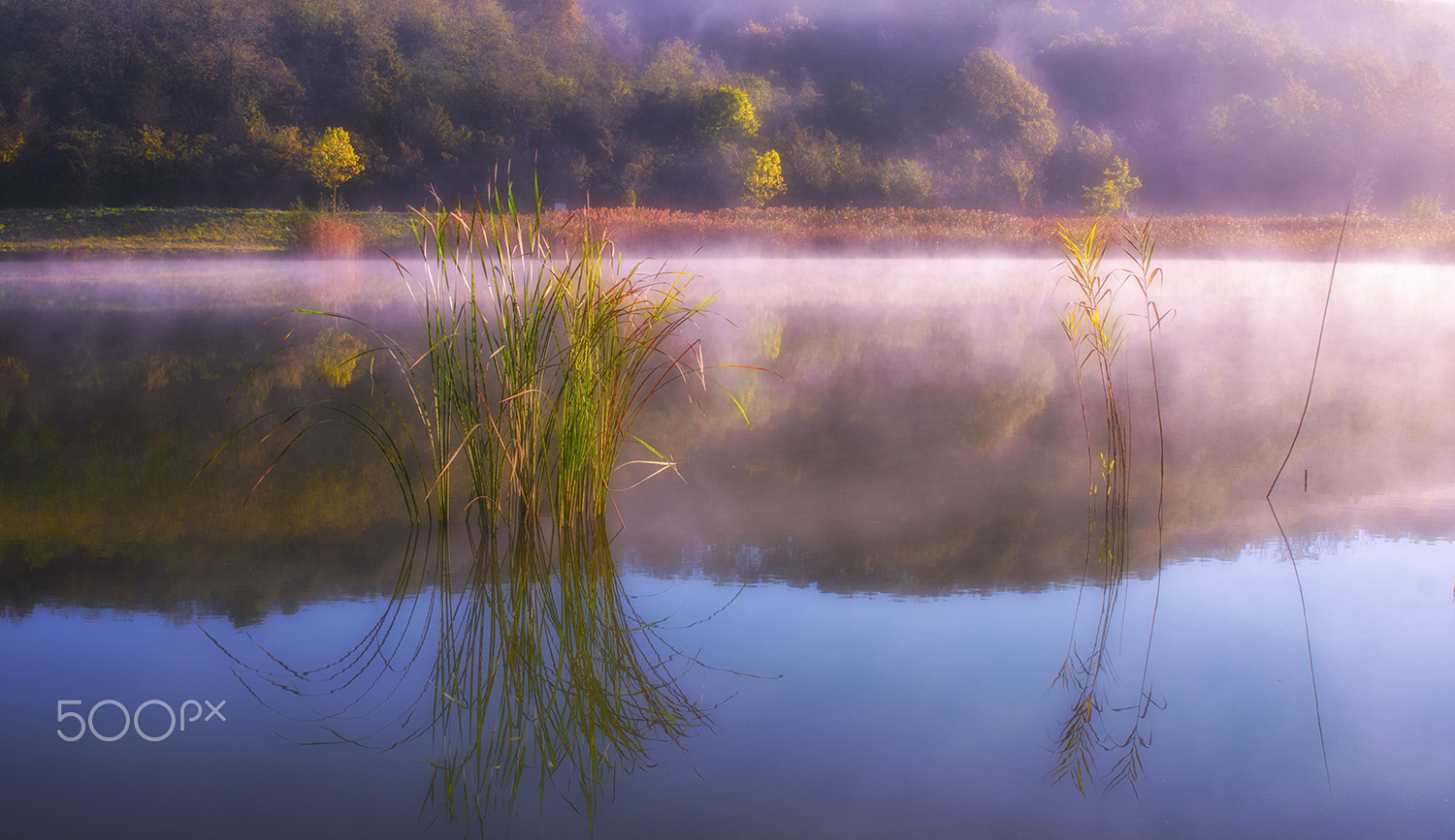 Sony ILCA-77M2 sample photo. Autumn mirror photography