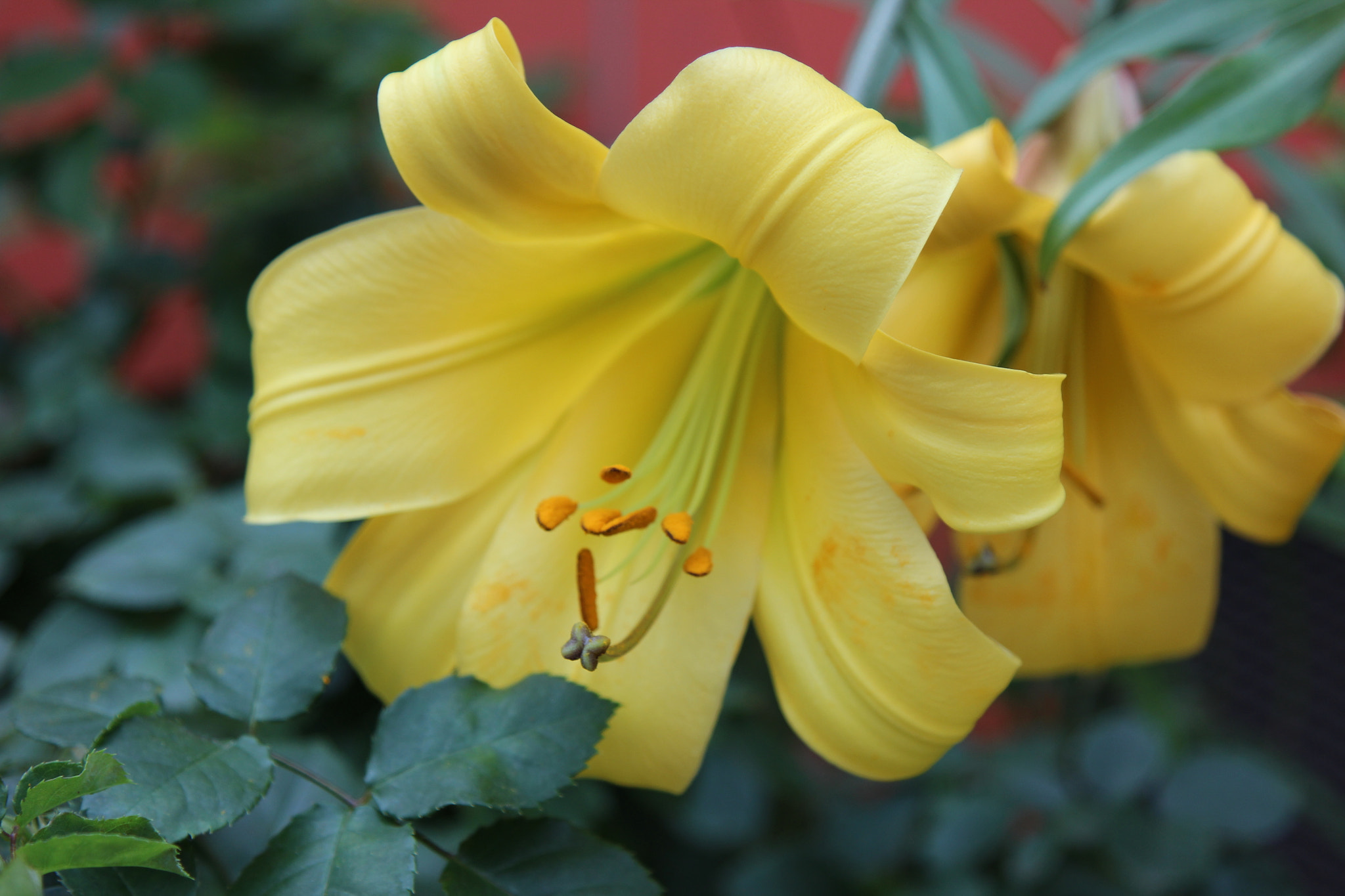 Canon EOS 600D (Rebel EOS T3i / EOS Kiss X5) sample photo. Landing pad photography