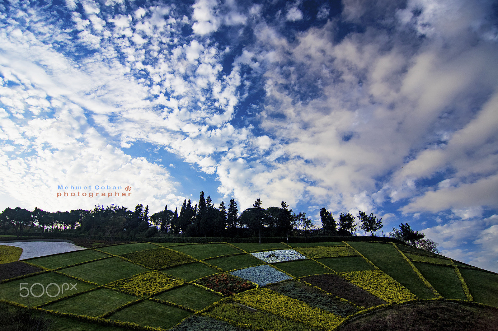 Pentax K-3 II sample photo. The nature theme photography