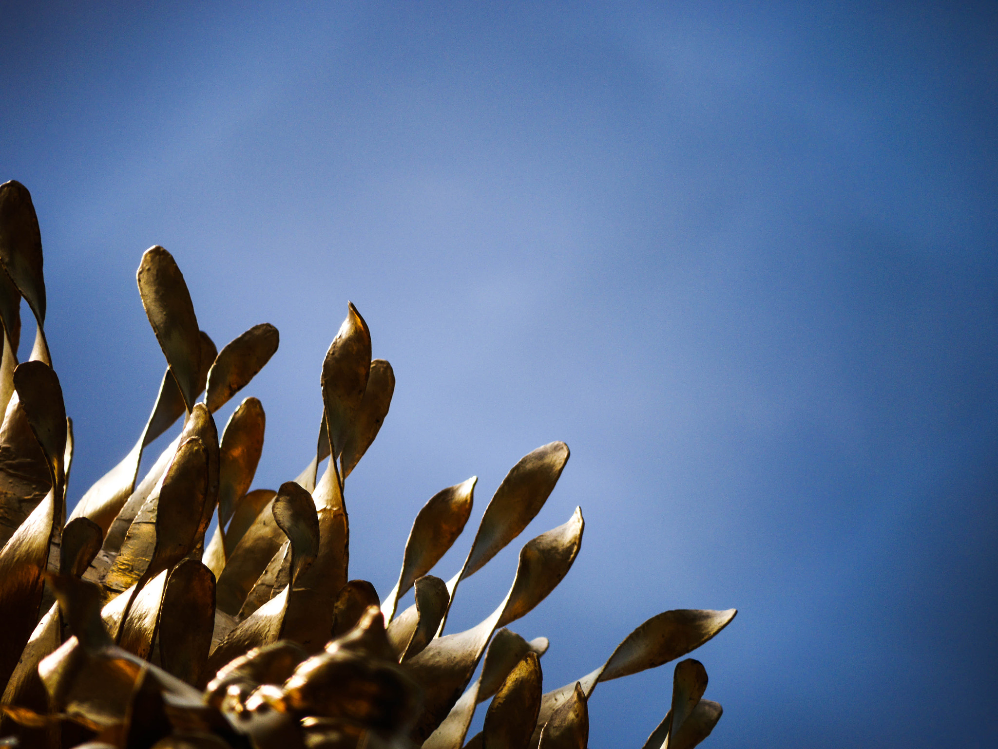 Panasonic Lumix G Vario 45-200mm F4-5.6 OIS sample photo. Iron fire photography