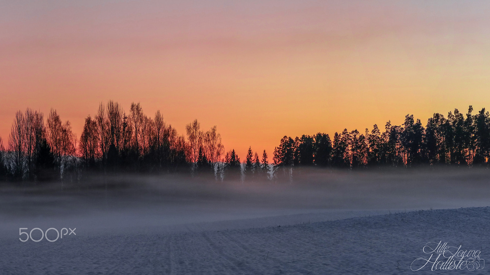 Canon EOS 760D (EOS Rebel T6s / EOS 8000D) + Canon EF 70-200mm F4L USM sample photo. Winter sunrise photography